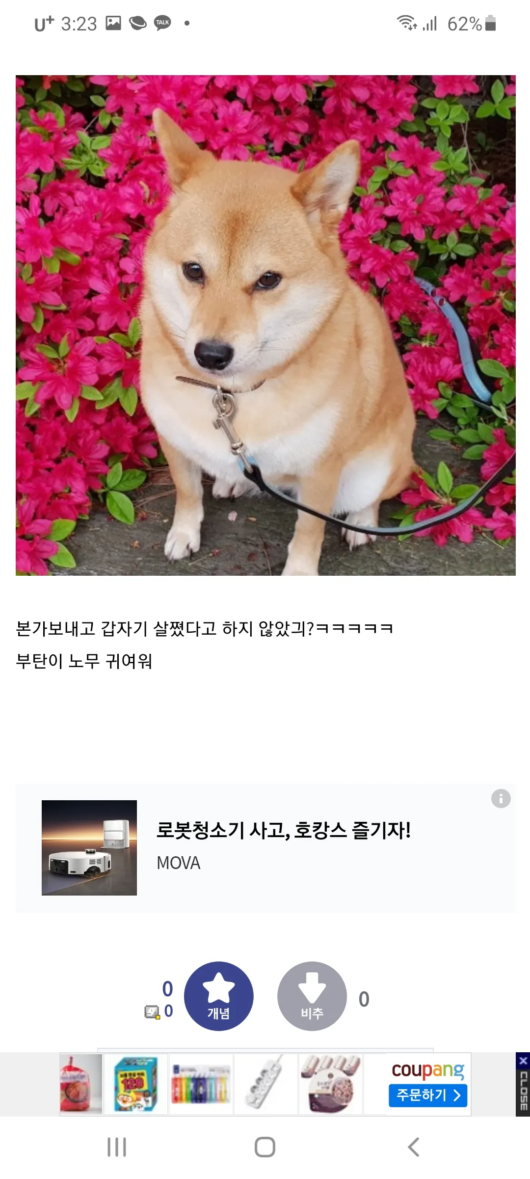 지애비랑 똑같이 생겼노오5