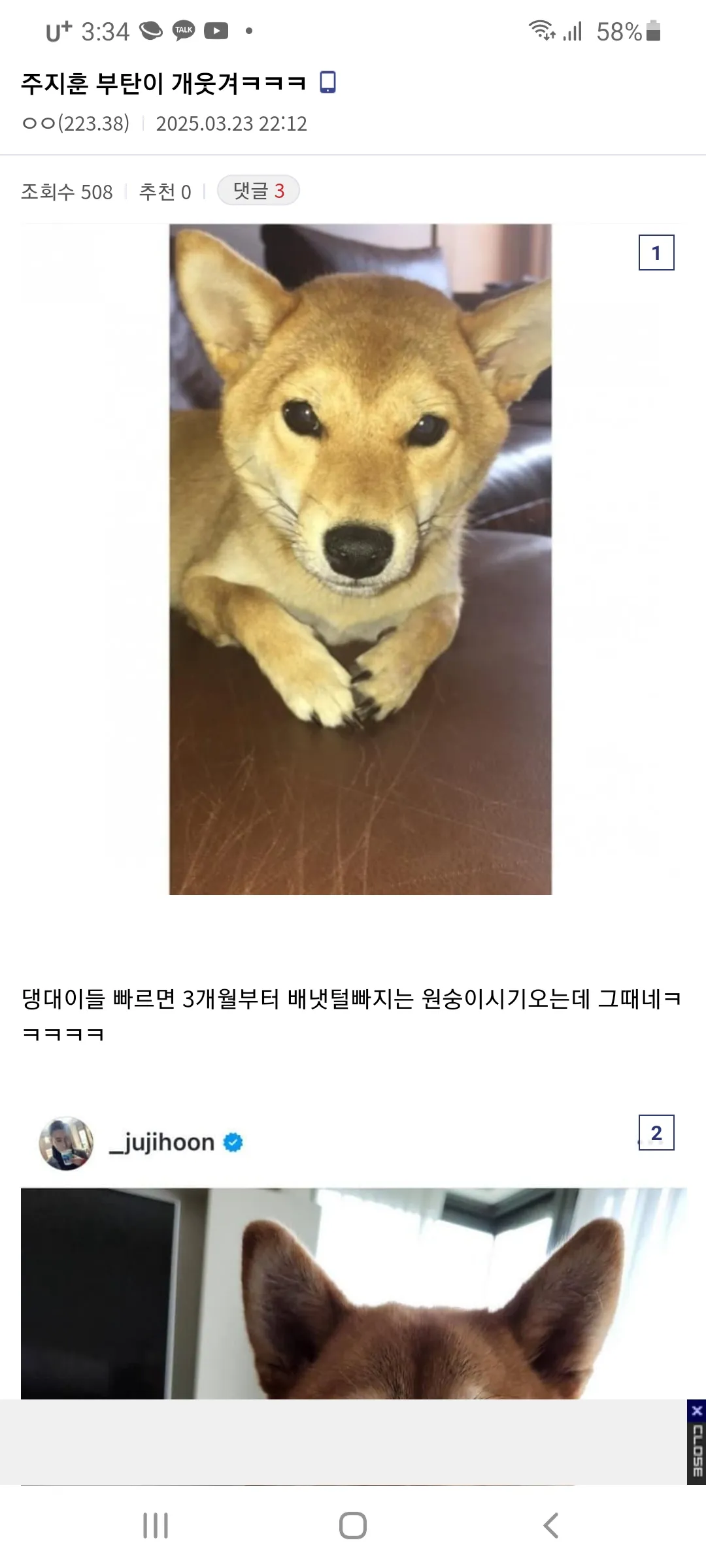 지애비랑 똑같이 생겼노오6
