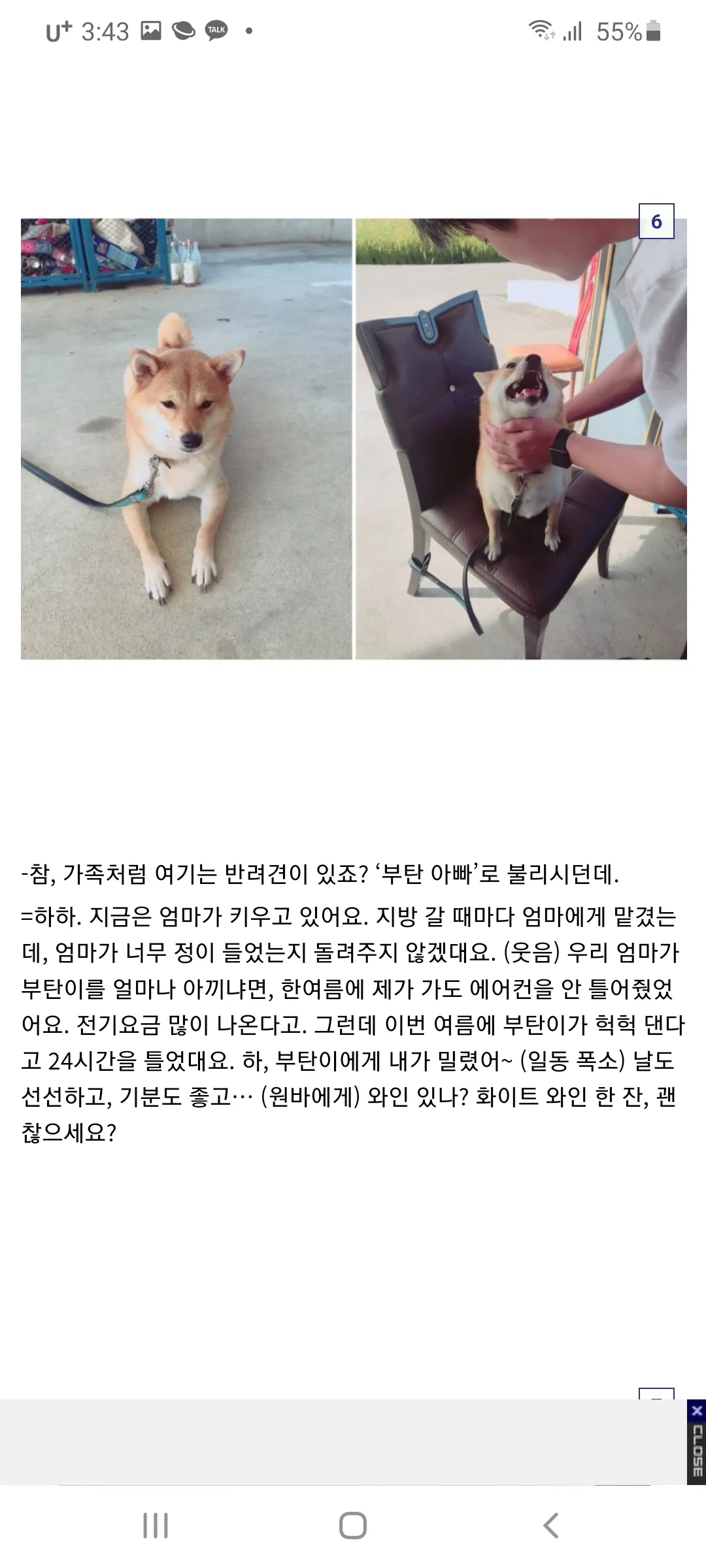 지애비랑 똑같이 생겼노오7