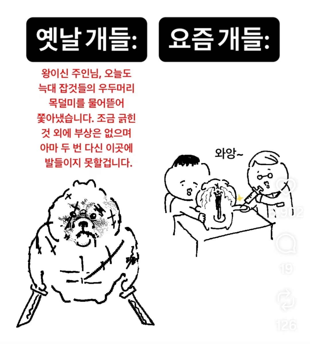 옛날 강아지랑 요즘 강아지의 차이[하퍼 초톡 바로바로드리는 일탈 부장]공주모심