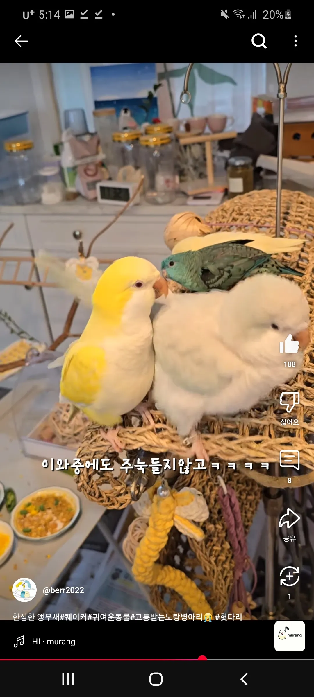 이거 언니들이랑 무새같지이 ㅇㅅㅇ
