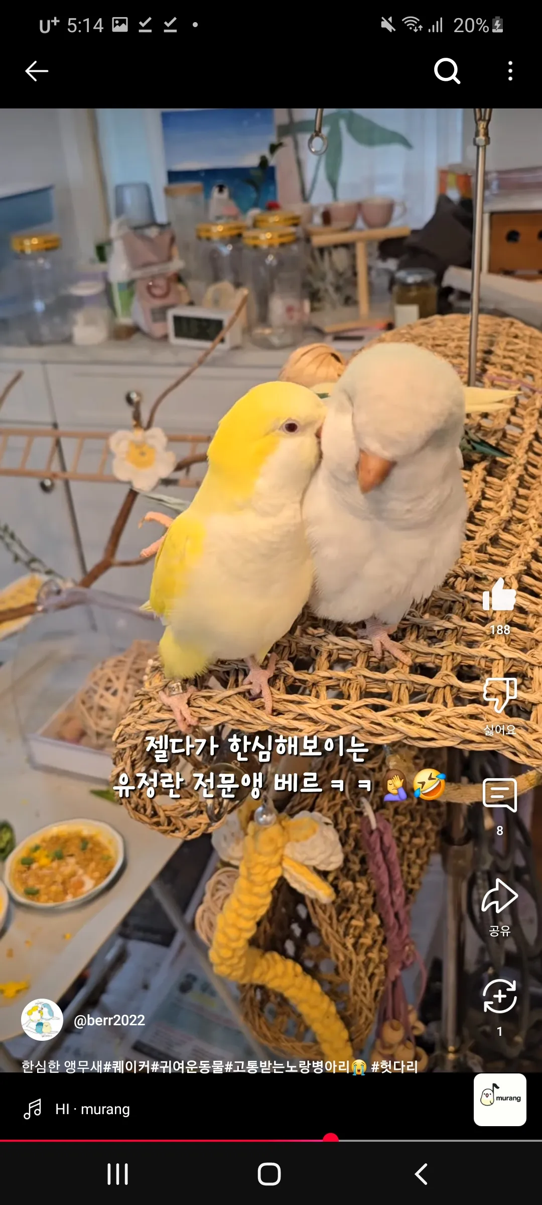 이거 언니들이랑 무새같지이 ㅇㅅㅇ2
