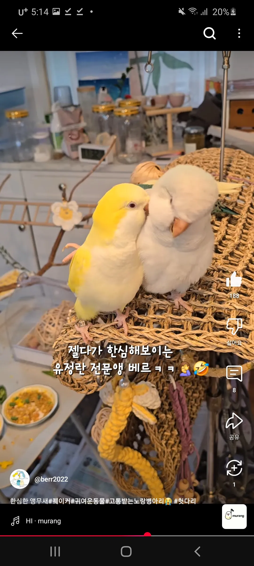 이거 언니들이랑 무새같지이 ㅇㅅㅇ3