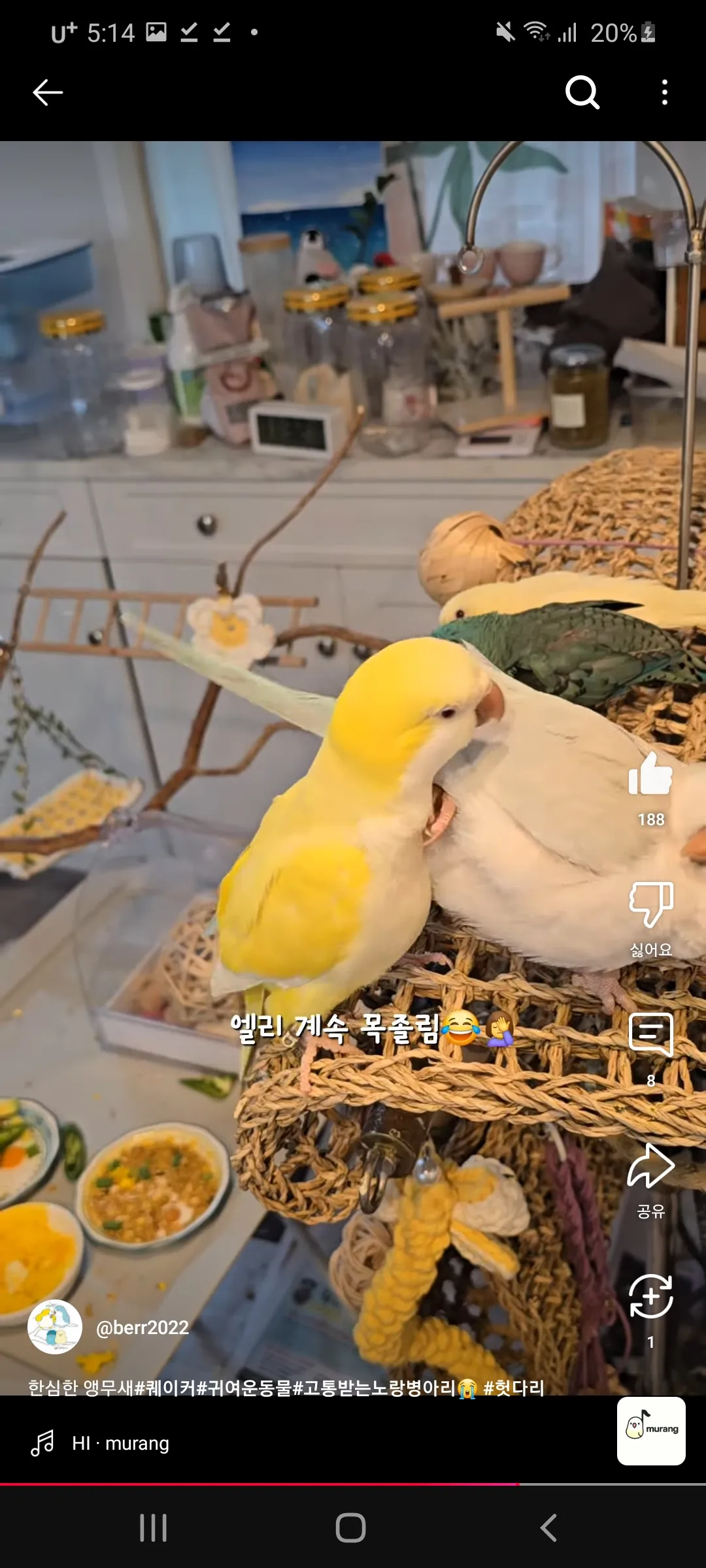 이거 언니들이랑 무새같지이 ㅇㅅㅇ4