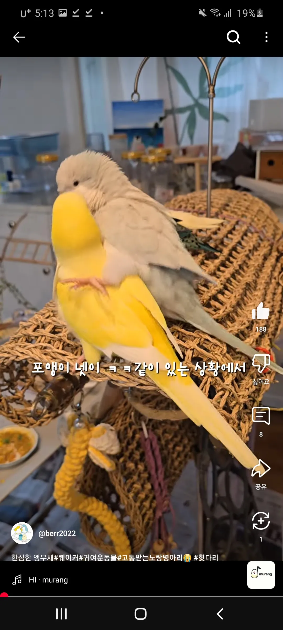 이거 언니들이랑 무새같지이 ㅇㅅㅇ6