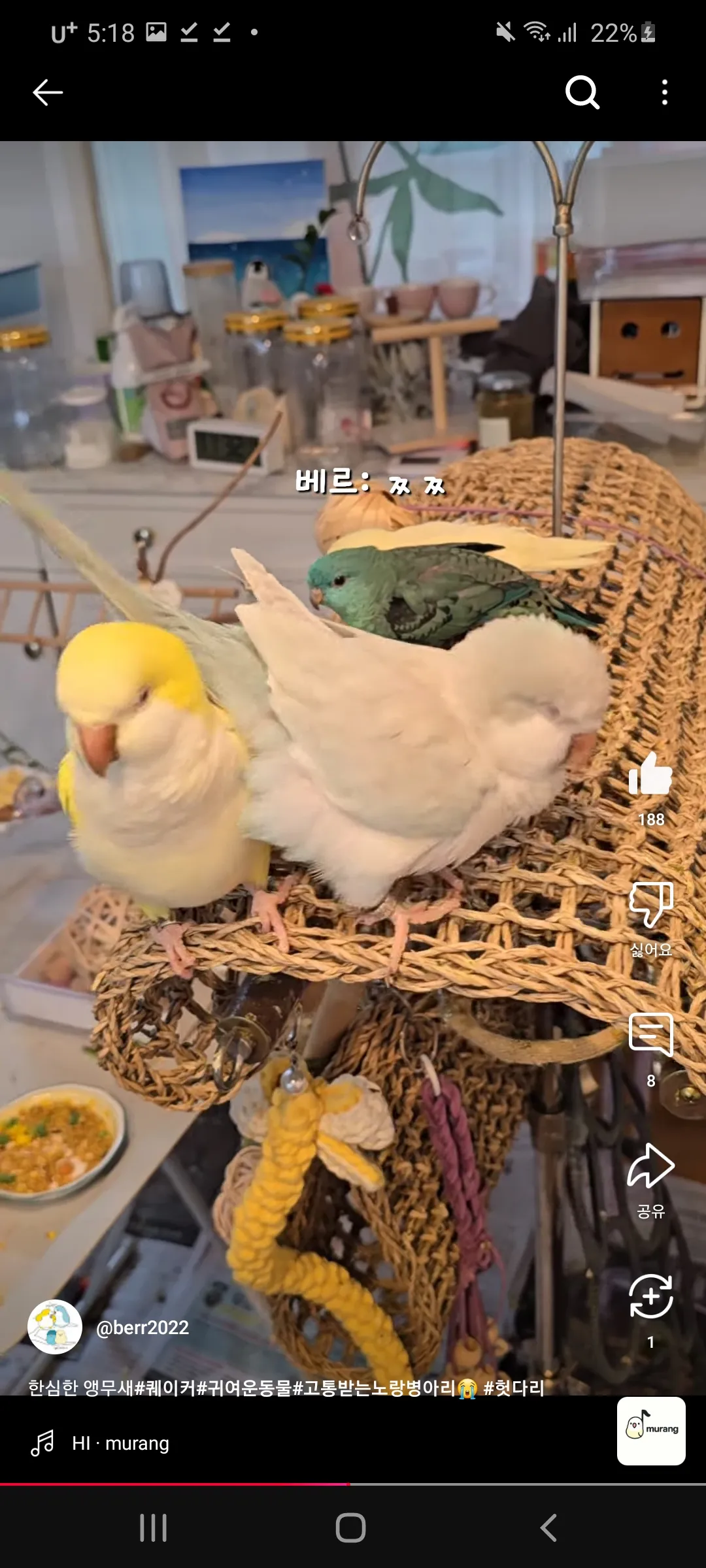 이거 언니들이랑 무새같지이 ㅇㅅㅇ10