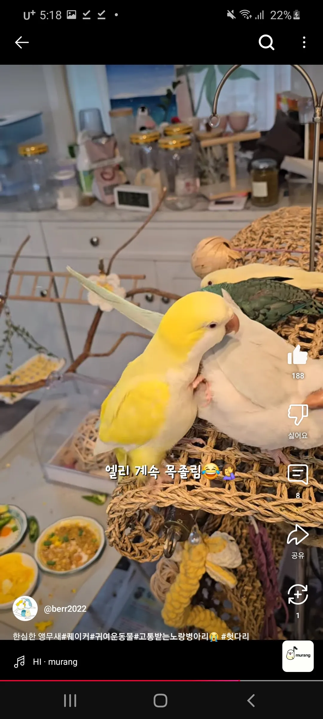 이거 언니들이랑 무새같지이 ㅇㅅㅇ11