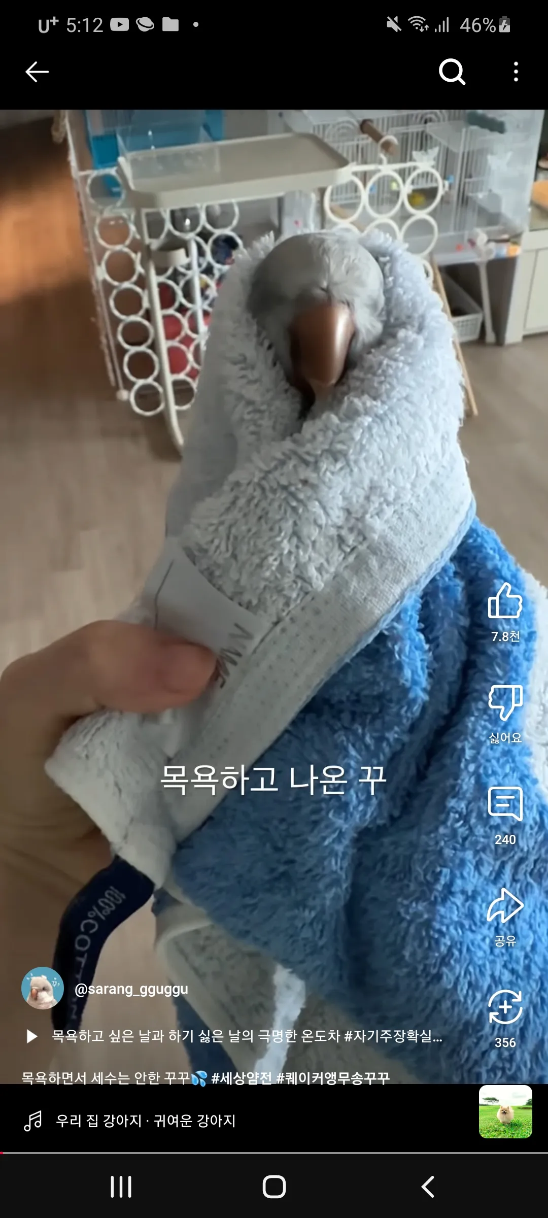 근데 결혼은 닮은사람끼리한다자나 댓글 5