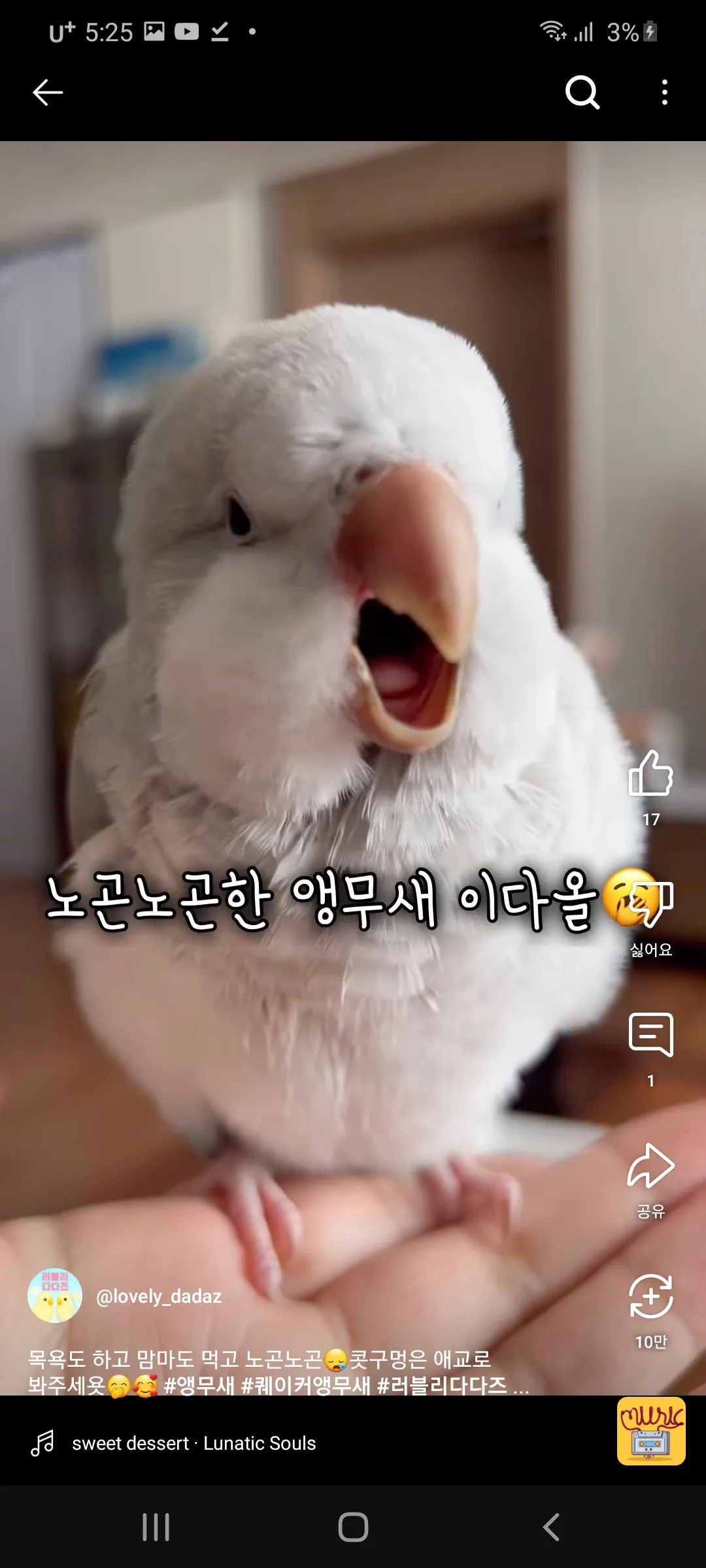 아까 댓글 14