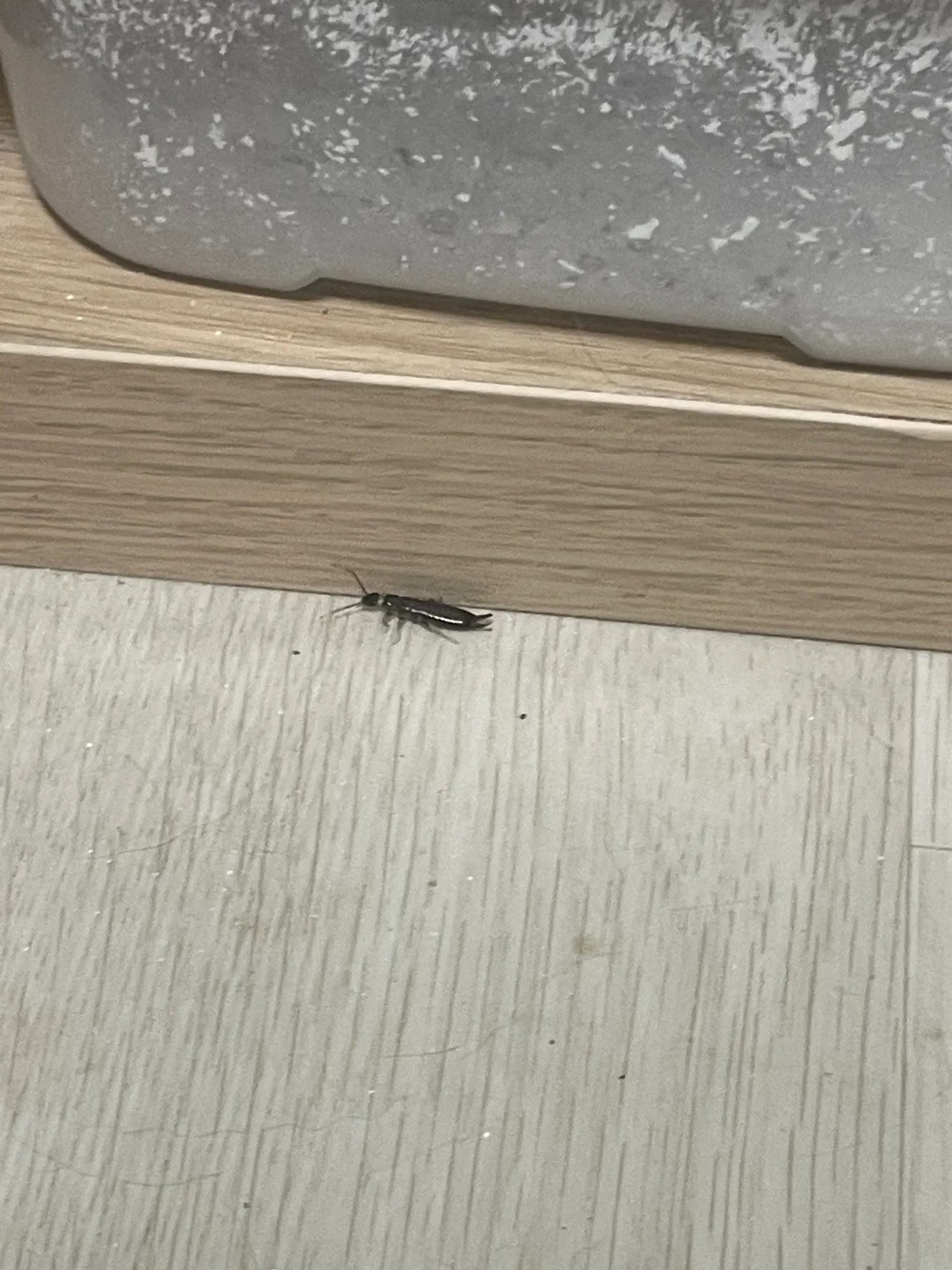약혐) 이게 대체 뭘까요 댓글 2