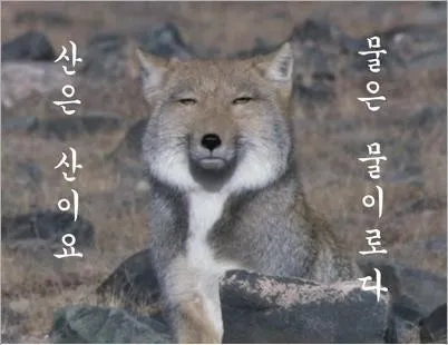 한녀들 동태눈깔 되는 거