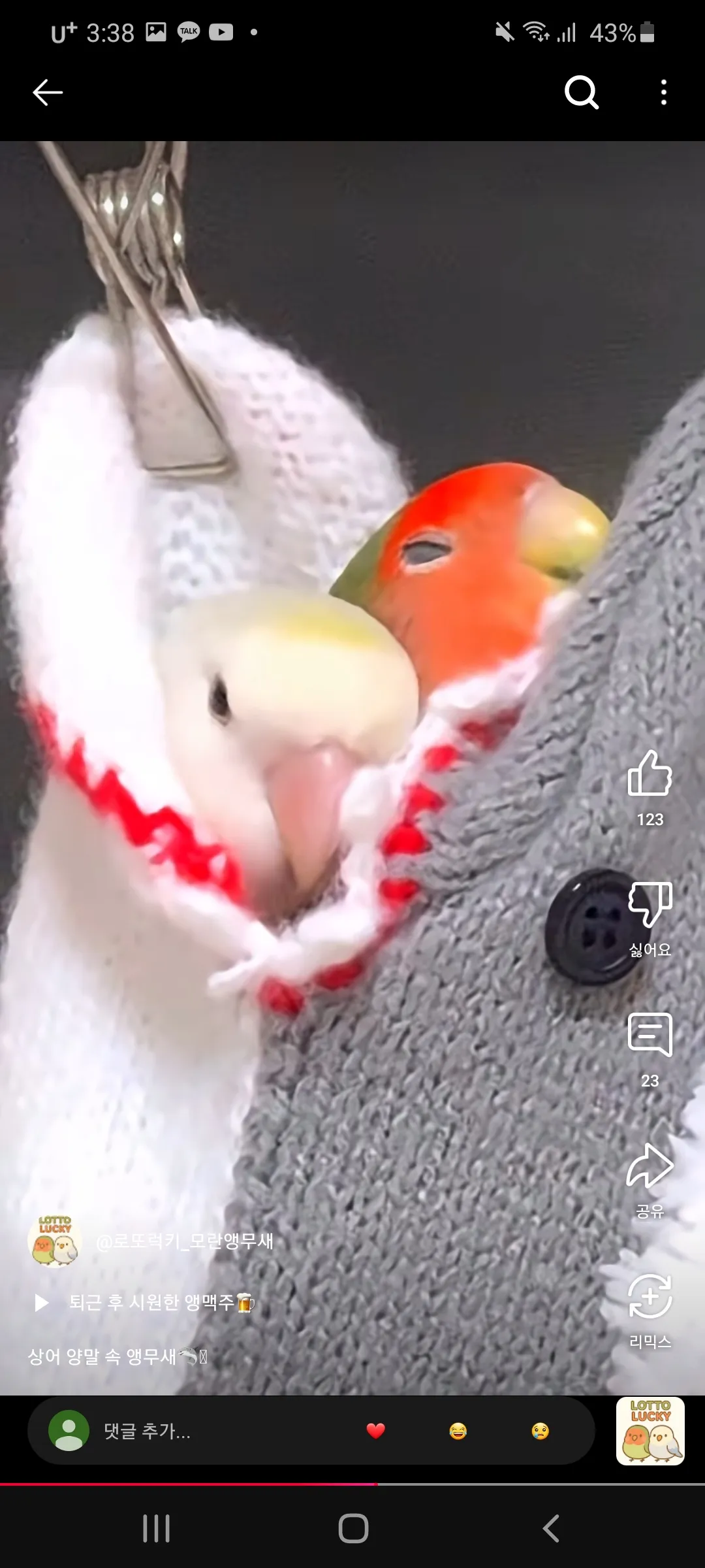 무새왔다감2