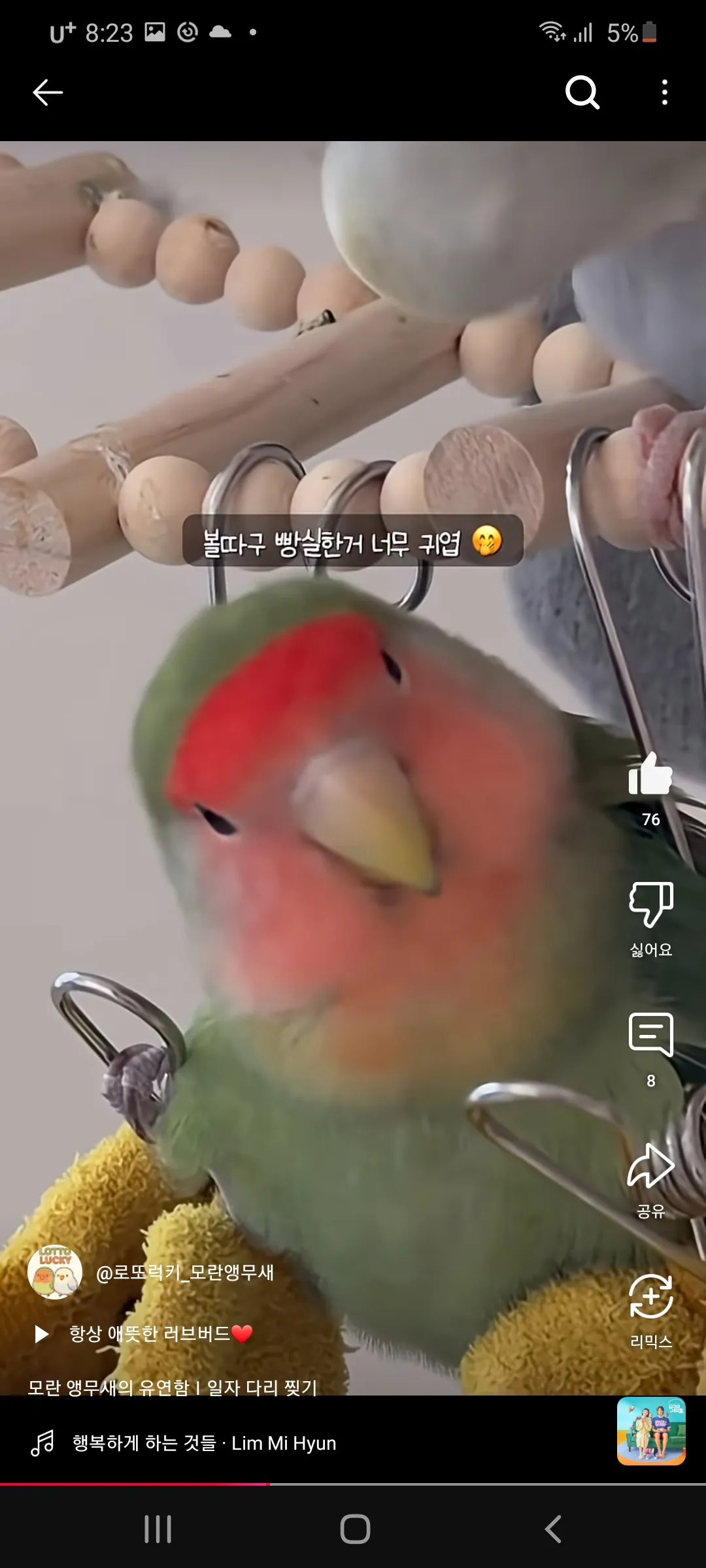 무새왔다감4
