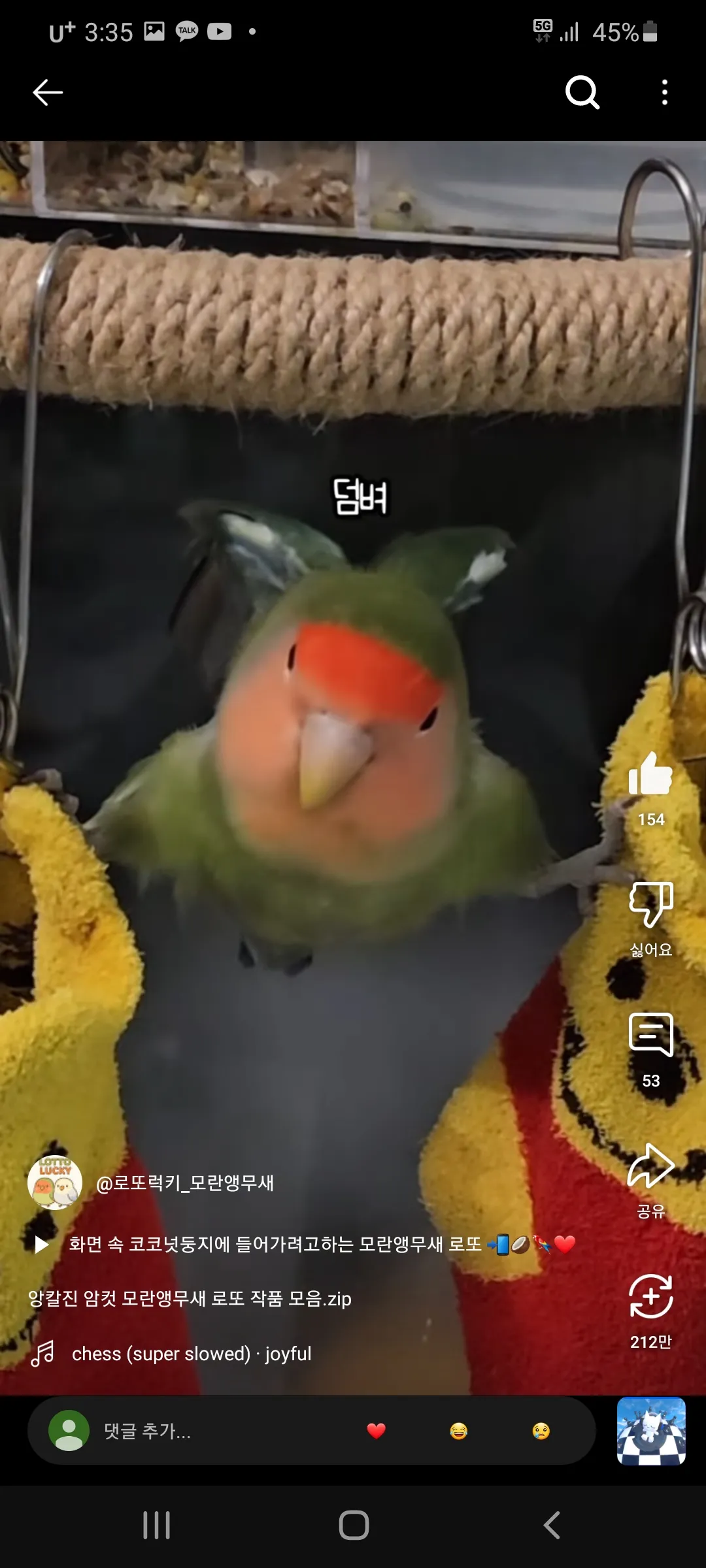 무새왔다감 댓글