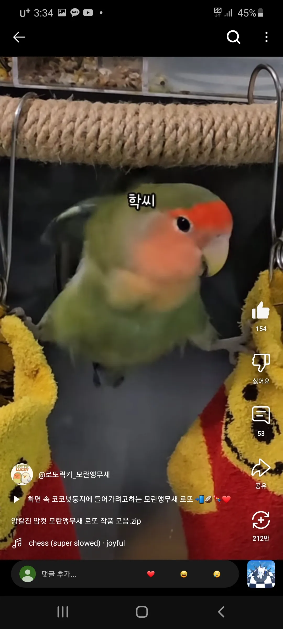 무새왔다감 댓글 2