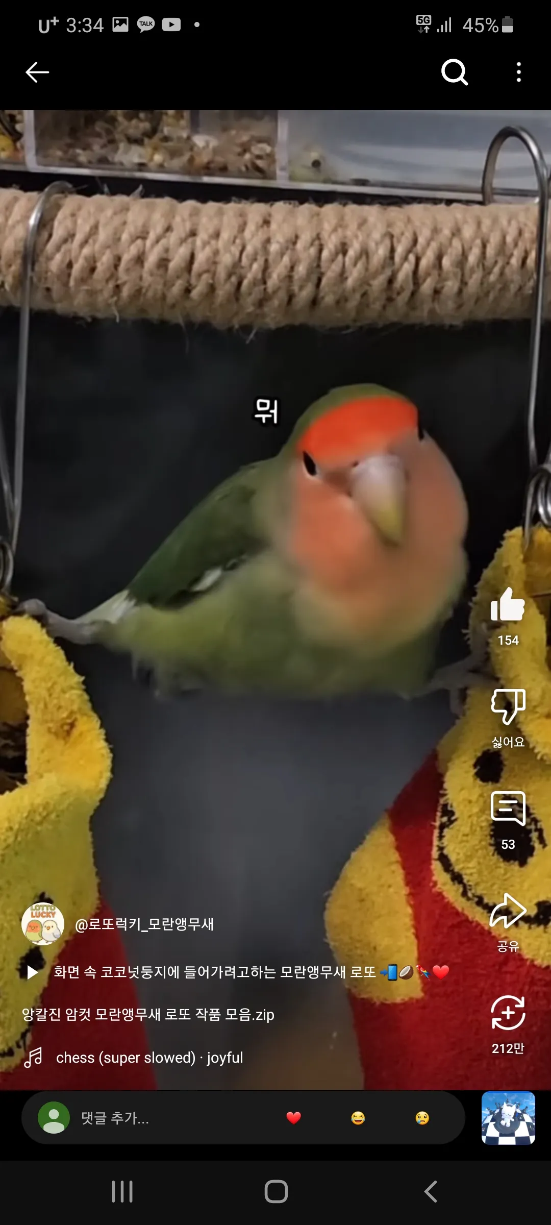 무새왔다감 댓글 4