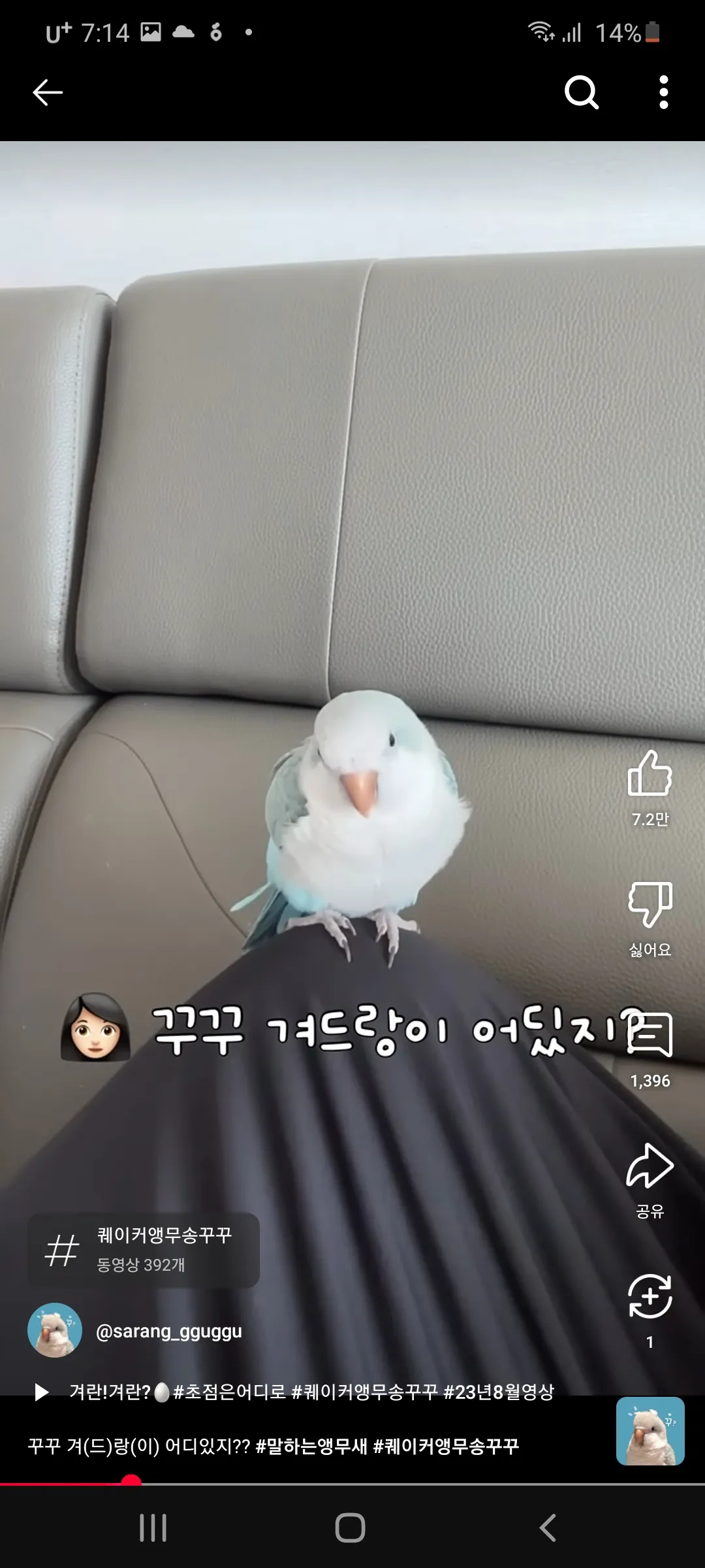 강아지데려오면 돈많이들겟져 월세집인데 댓글