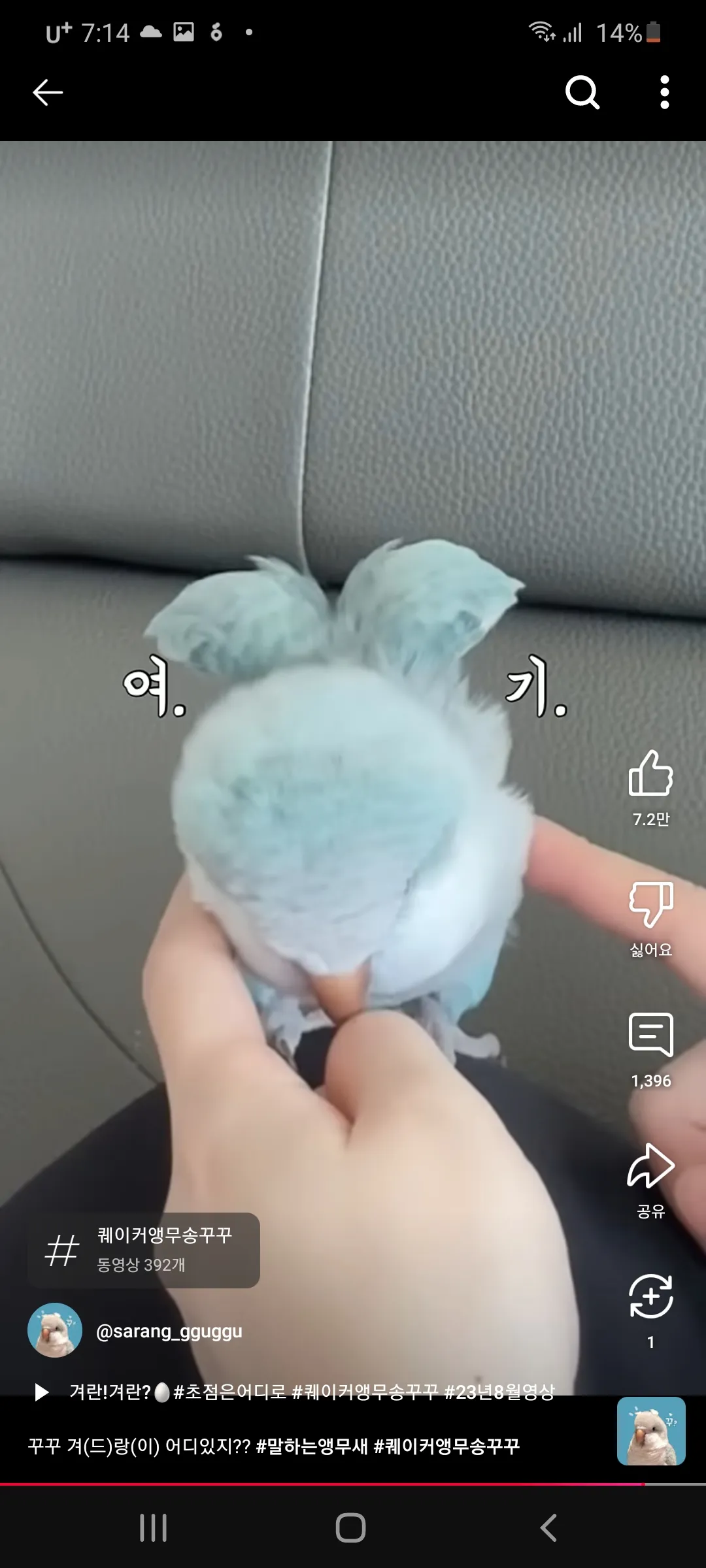 강아지데려오면 돈많이들겟져 월세집인데 댓글 2