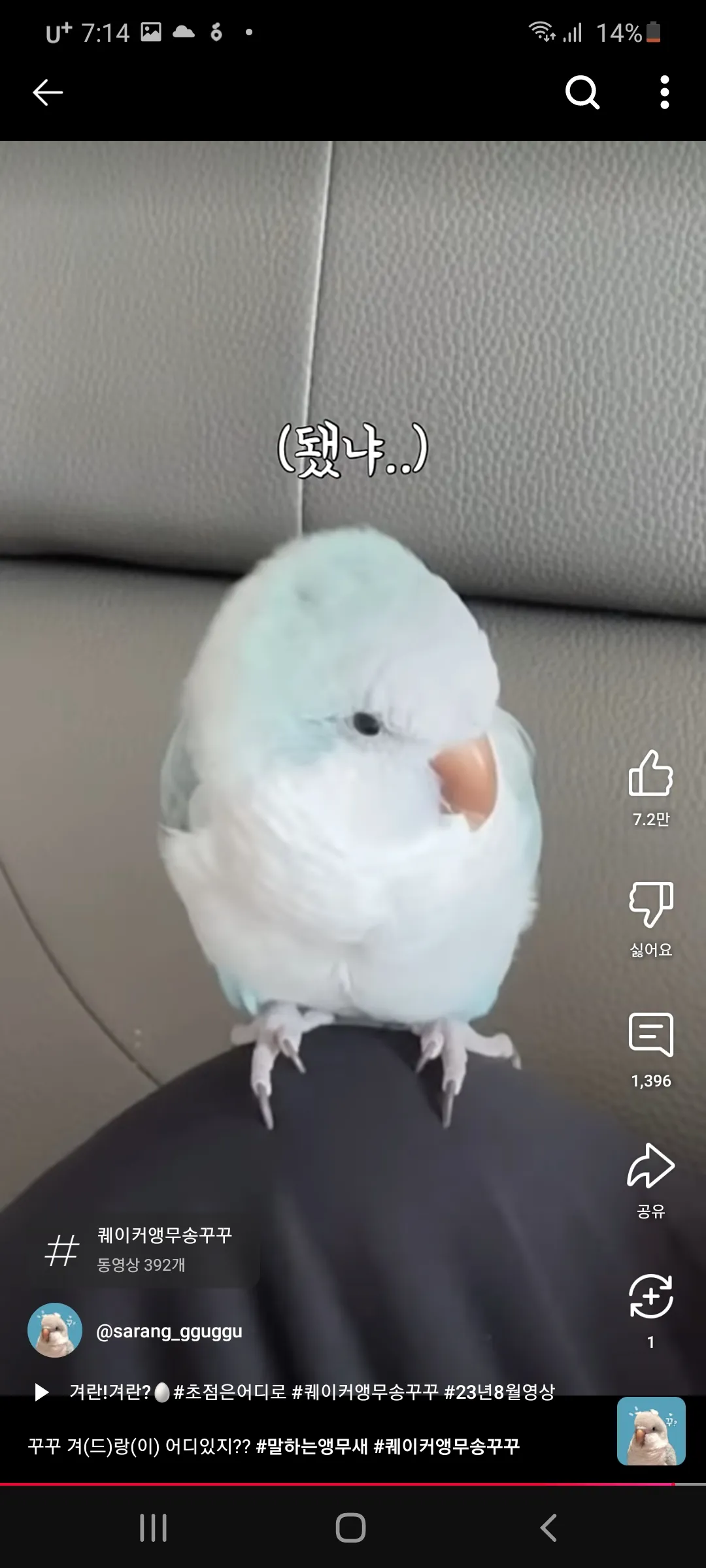 강아지데려오면 돈많이들겟져 월세집인데 댓글 3