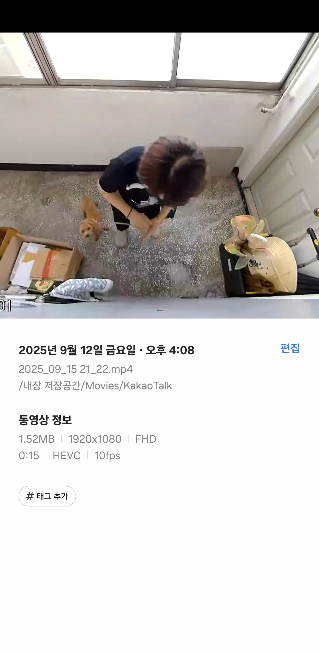 본가에 강아지놔두고 온게 파양인가욤?...6
