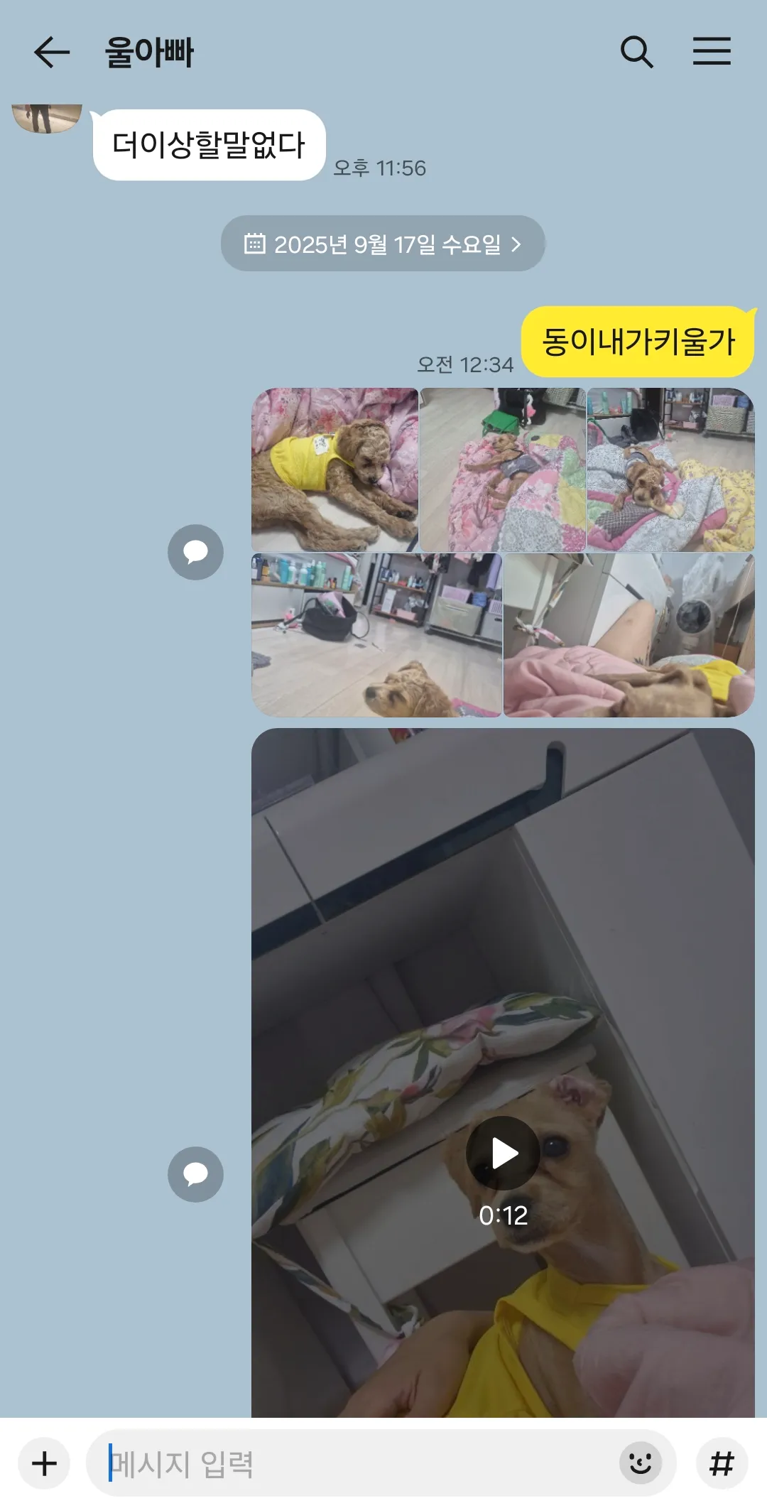 저 본가에 우리강아지 다시 데려오고싶은데요2