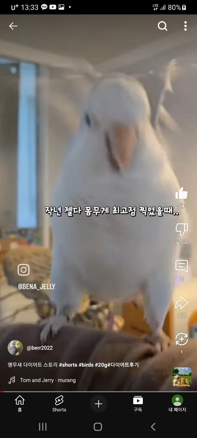 날지못해 슬픈 무새2