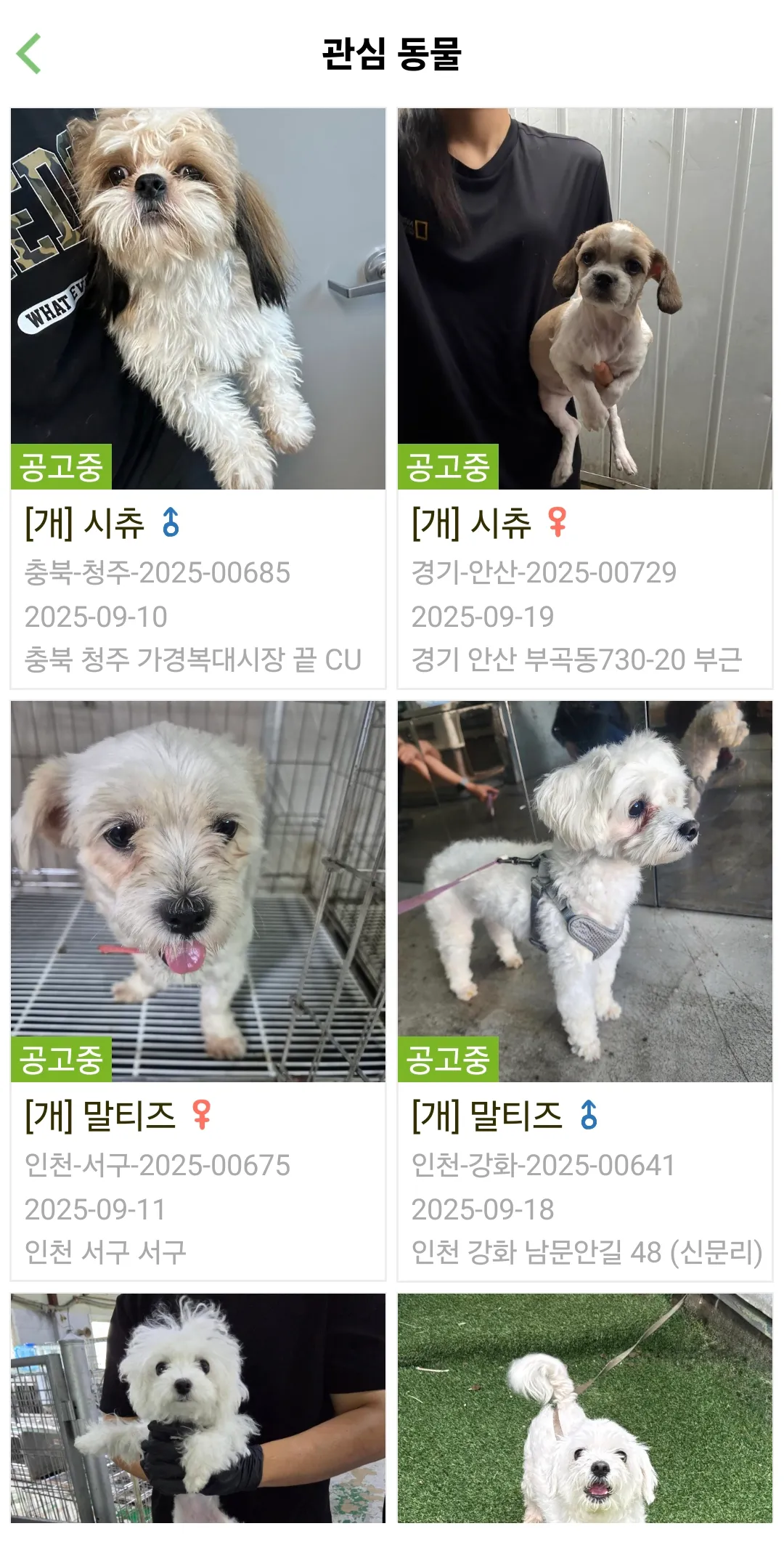 펫샵에서 강아지사지마라해서 포인핸드신청햇는데