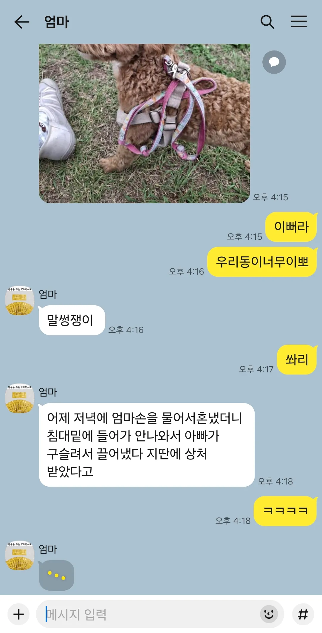 엄마랑 산책중이래요3