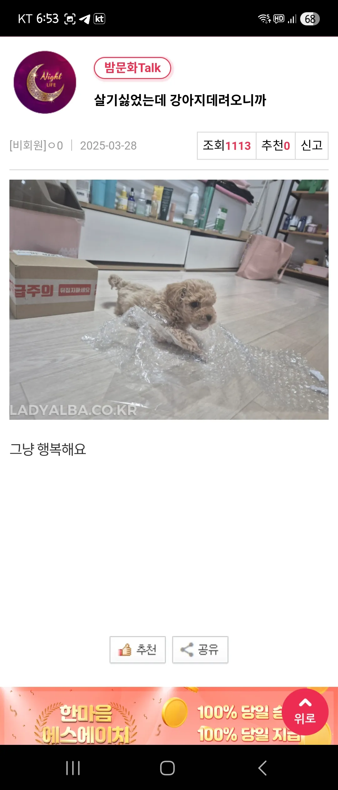 엄마랑 산책중이래요 댓글 2
