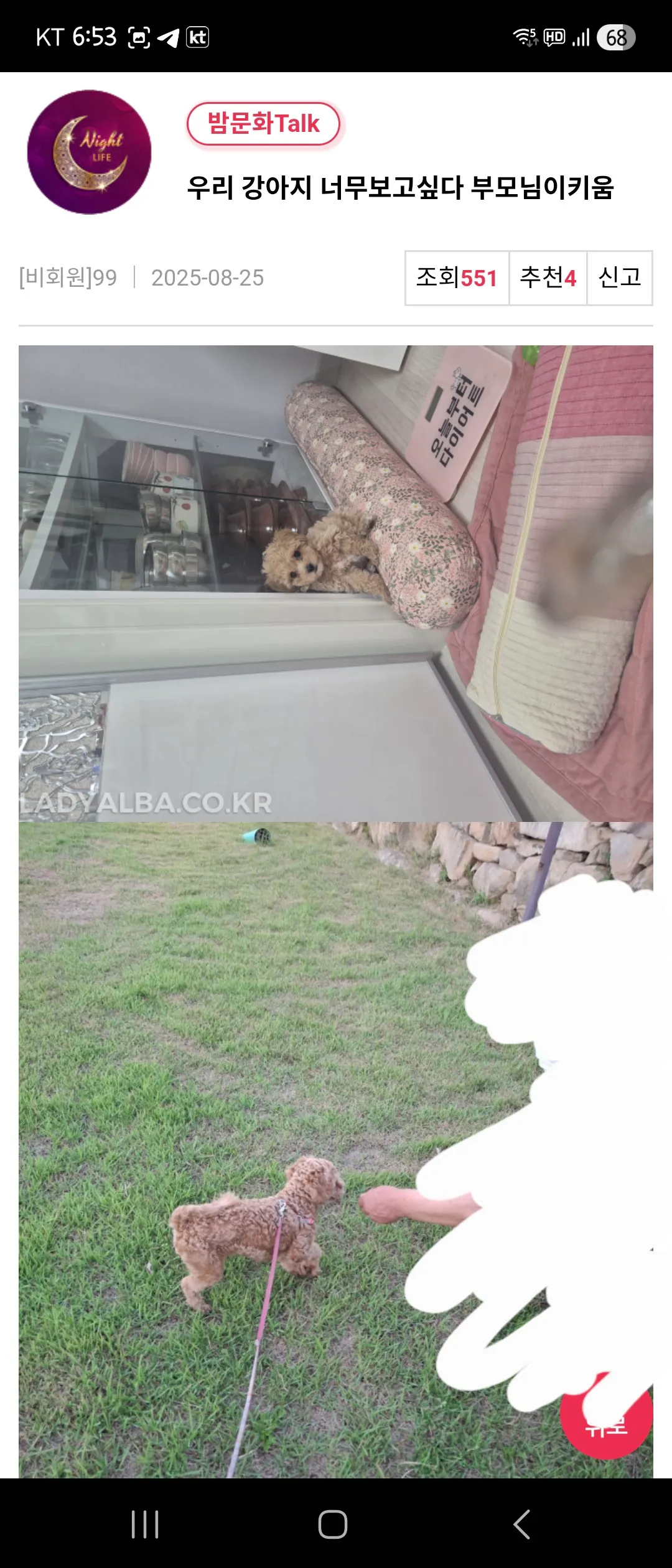 엄마랑 산책중이래요 댓글 3