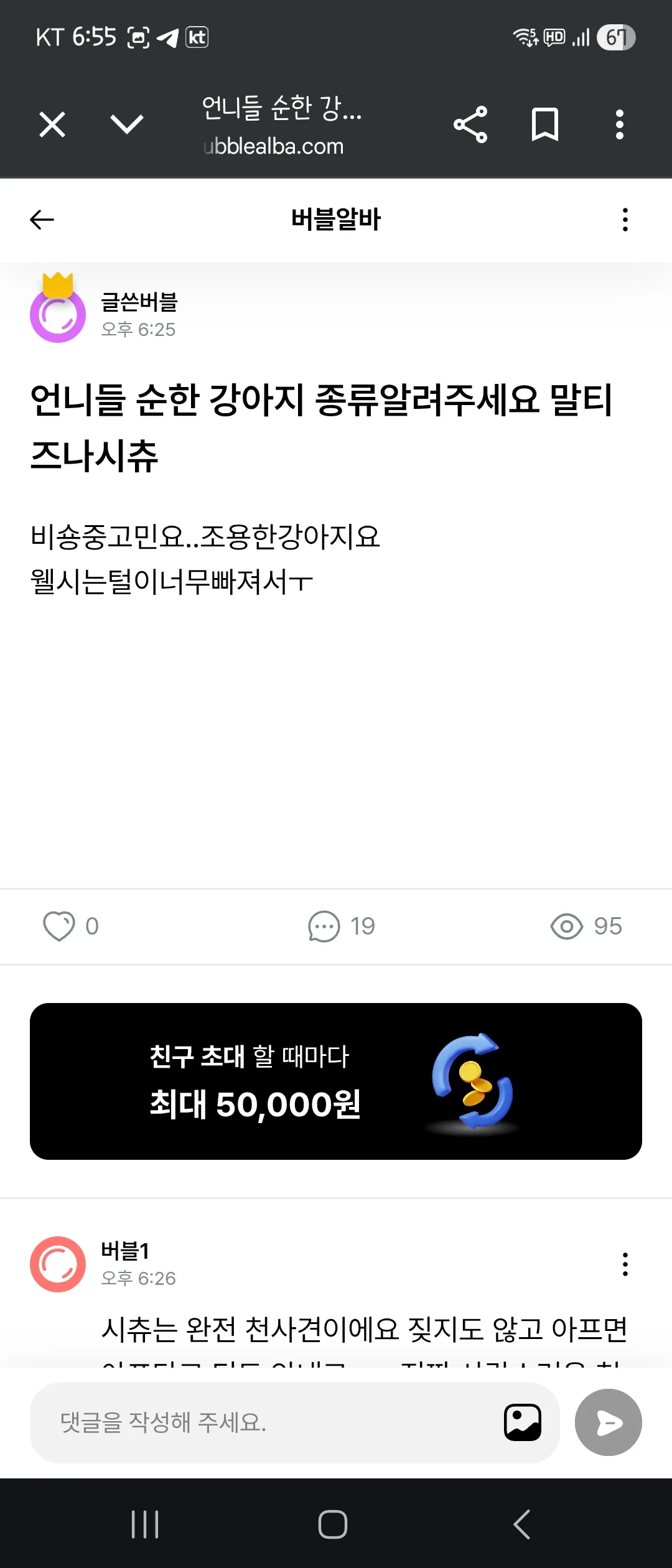엄마랑 산책중이래요 댓글 6
