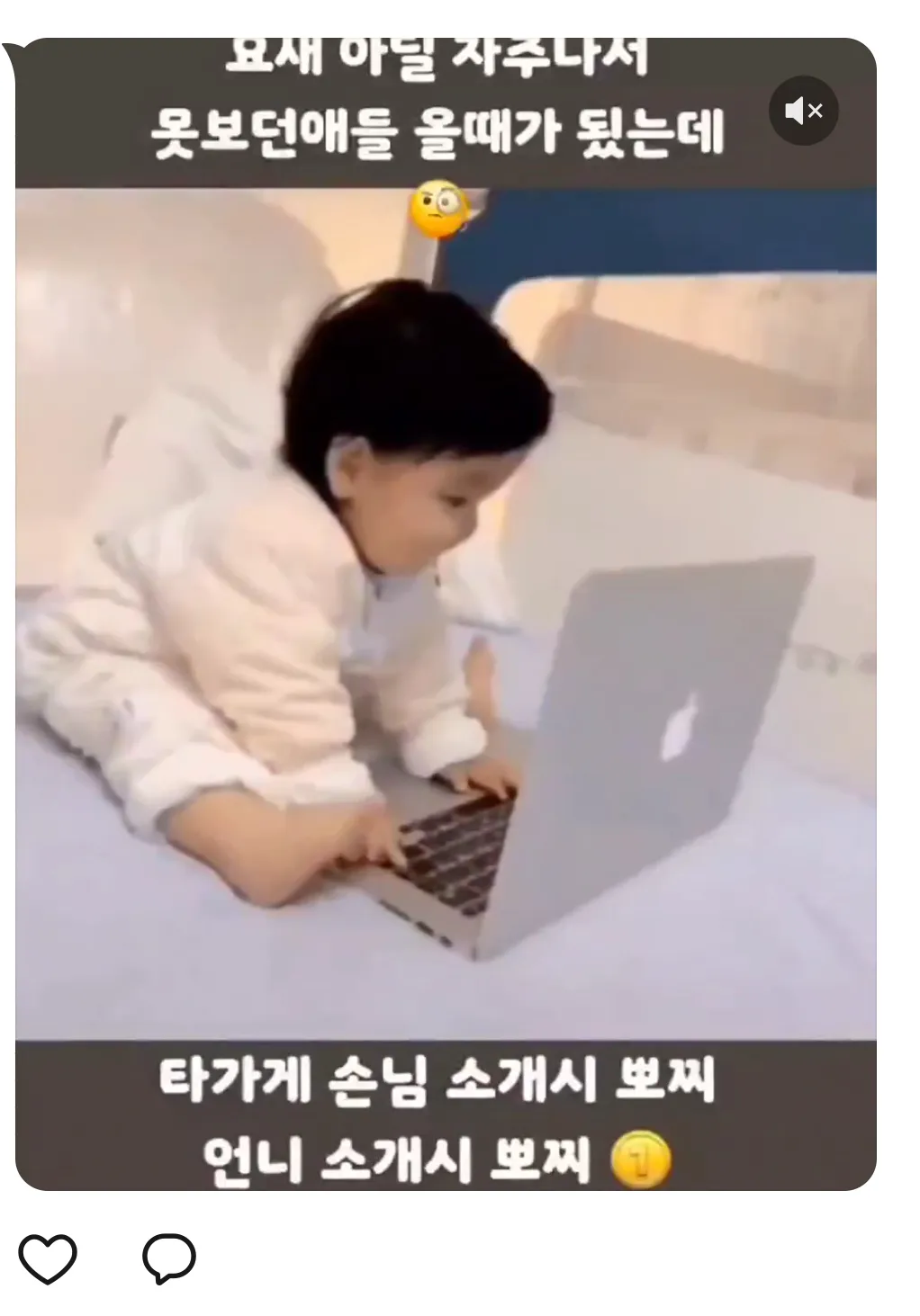 언니들 카톡업데이트