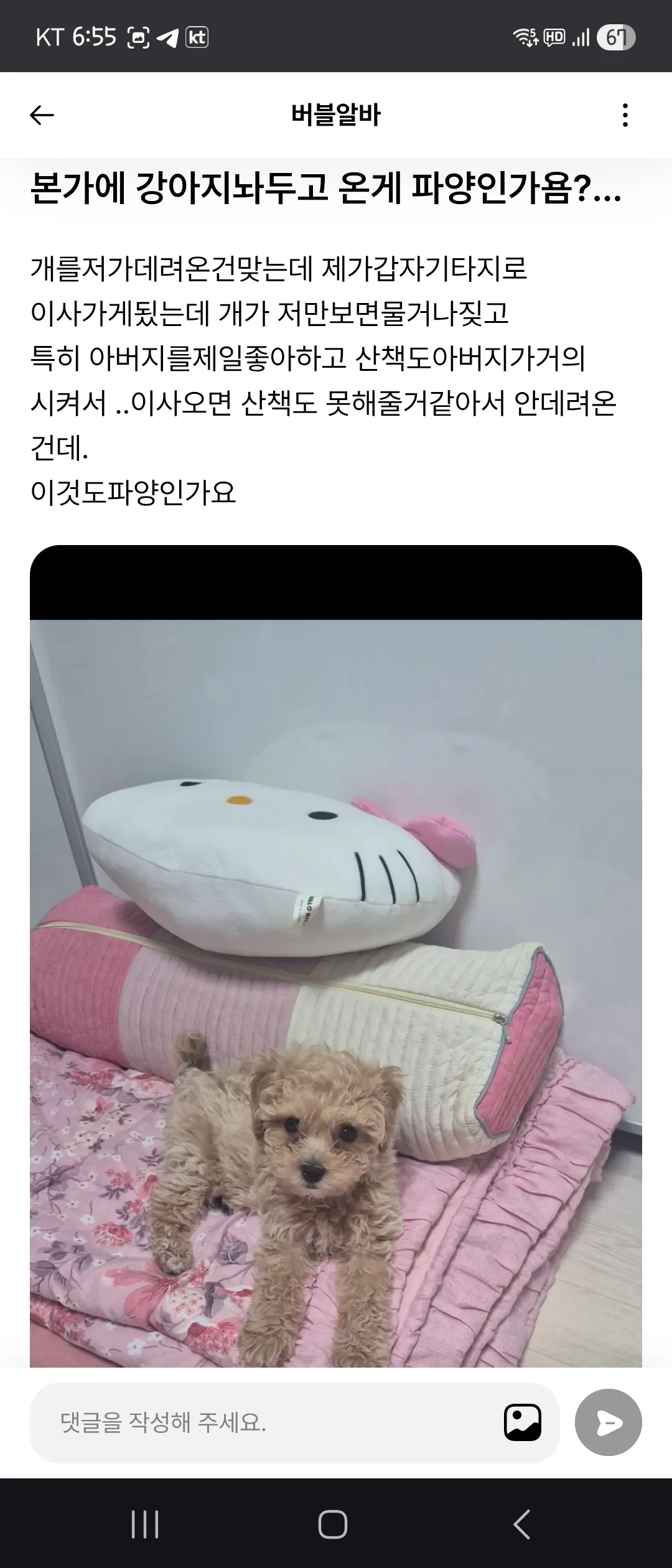 제가입양한강아지 데려올까요 저혼자살아요객지 댓글 2