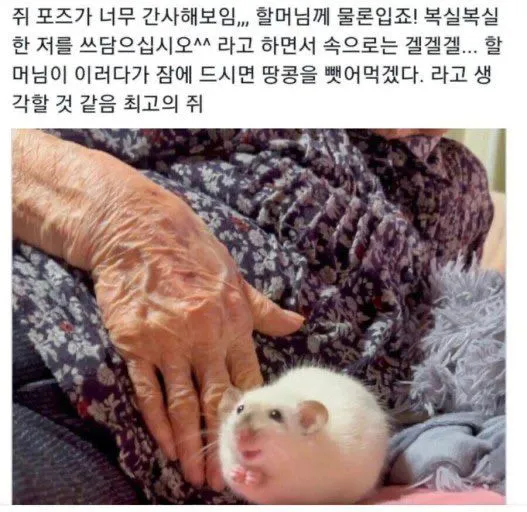 너뮤 우울
