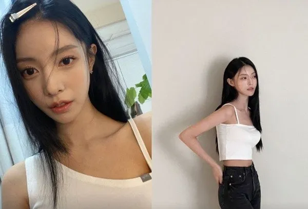 하퍼 텐카 원초원메 댓글