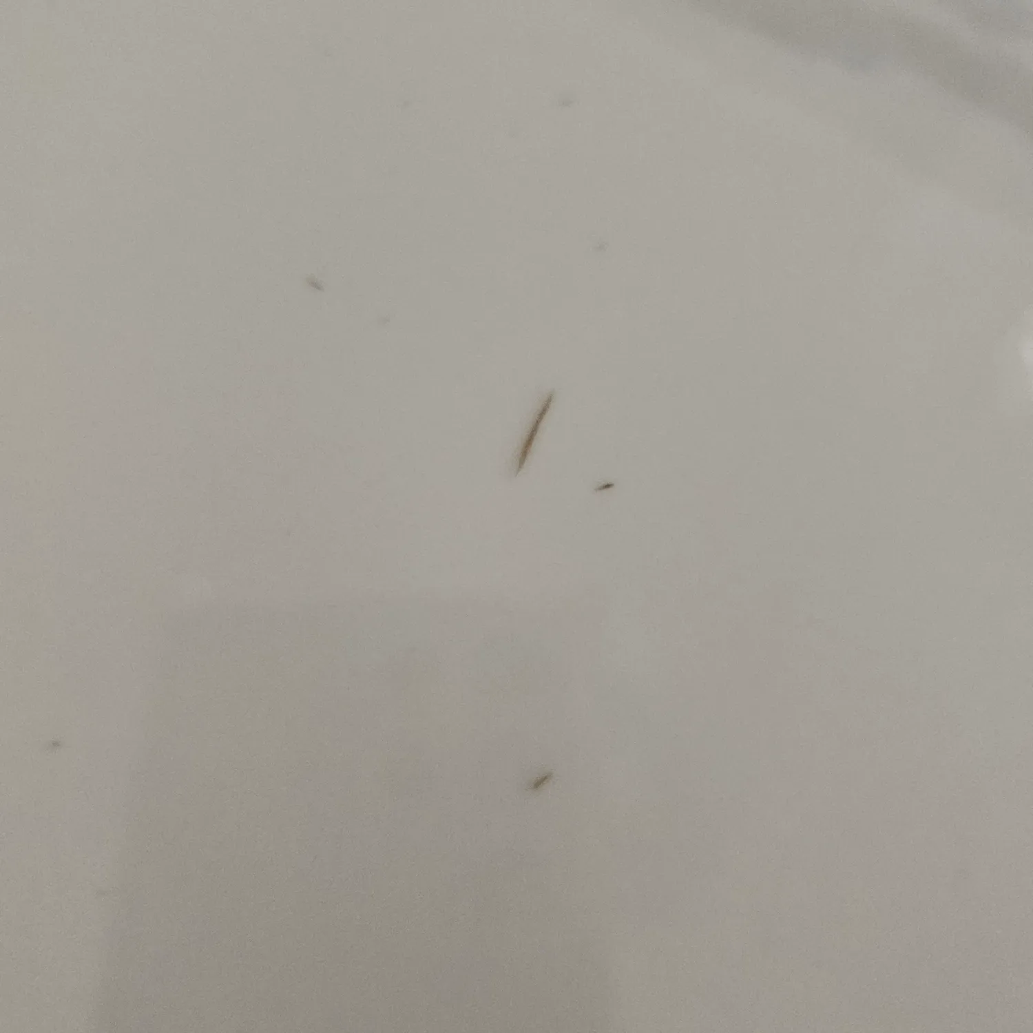 책상 앉아서 목 문댔는데