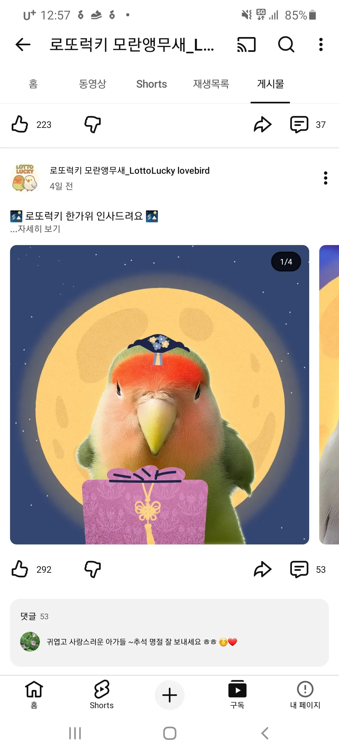 언니들모해 자니이