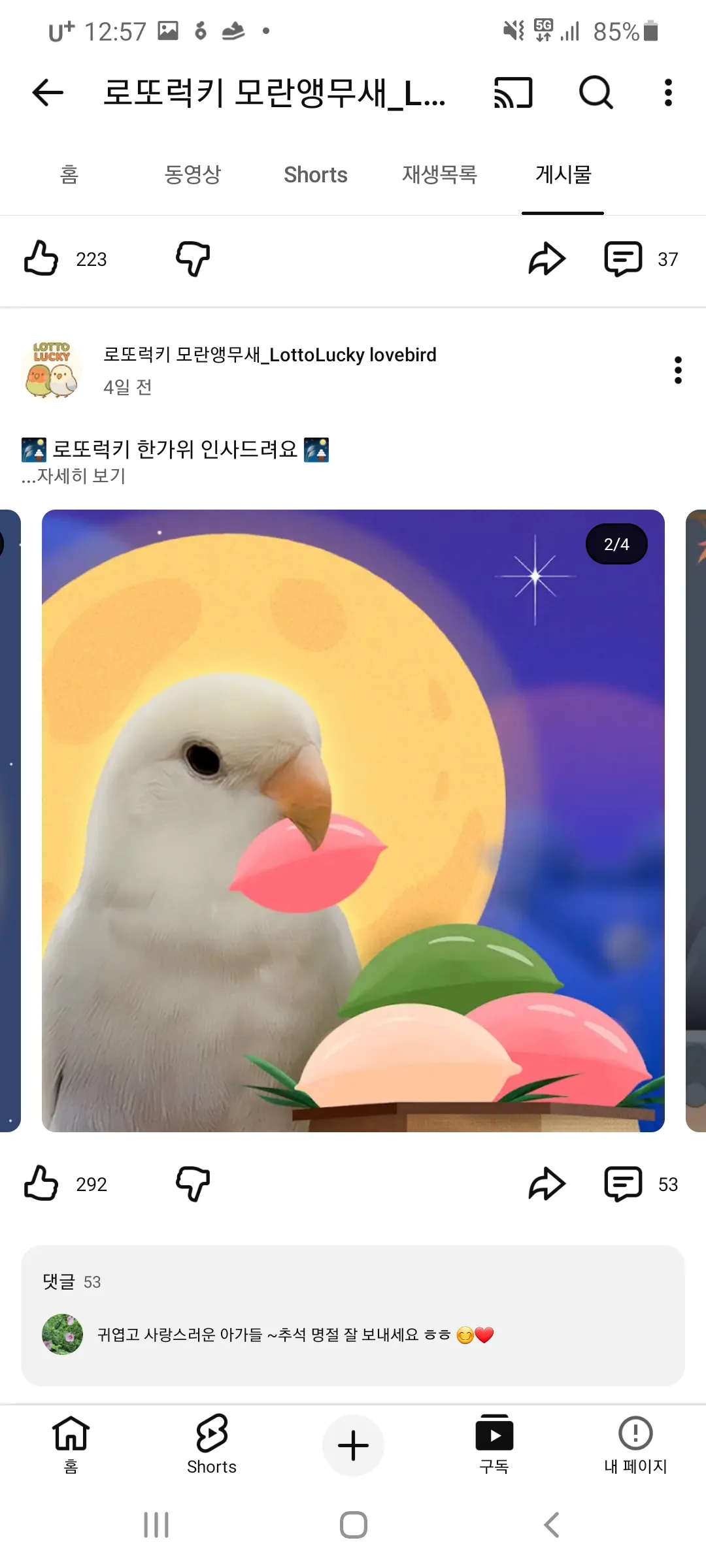 언니들모해 자니이2