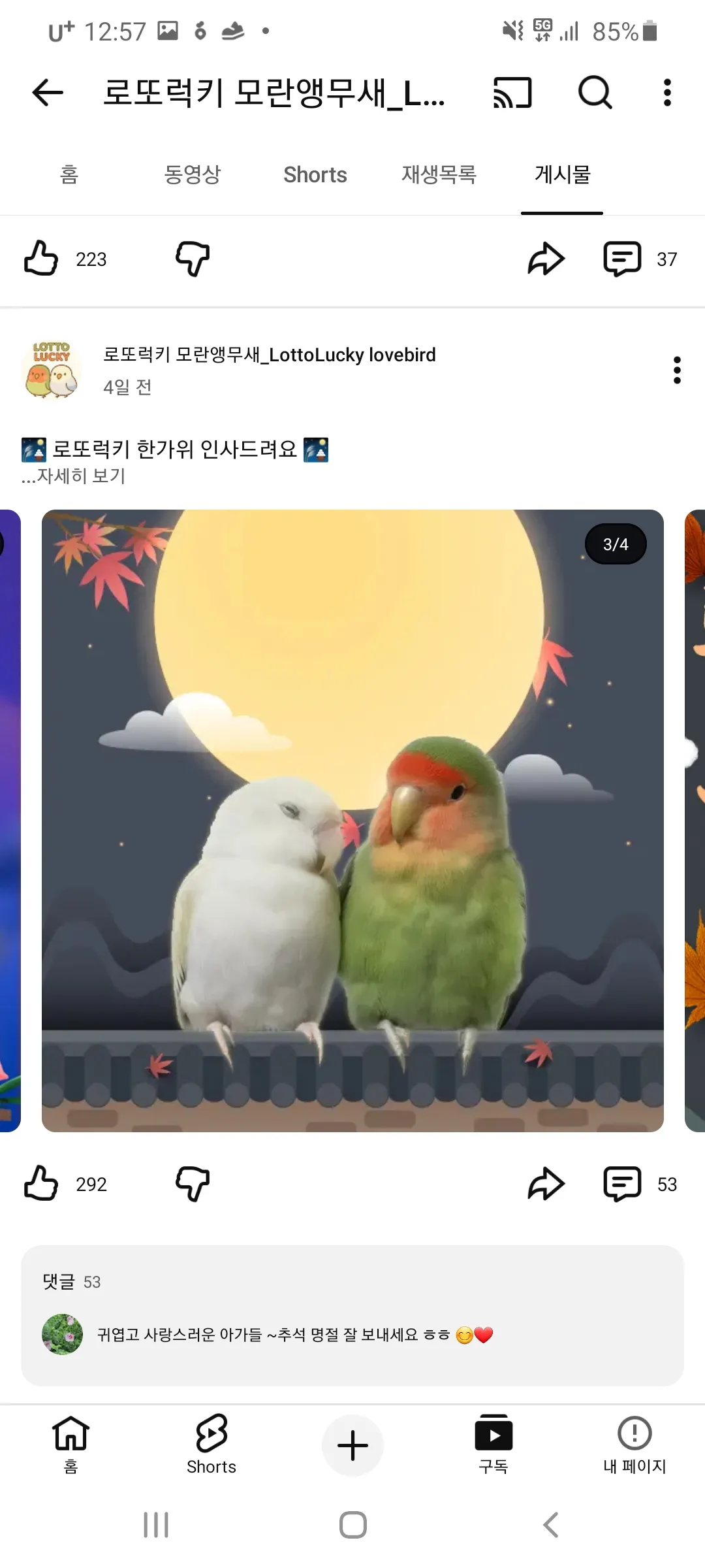 언니들모해 자니이3