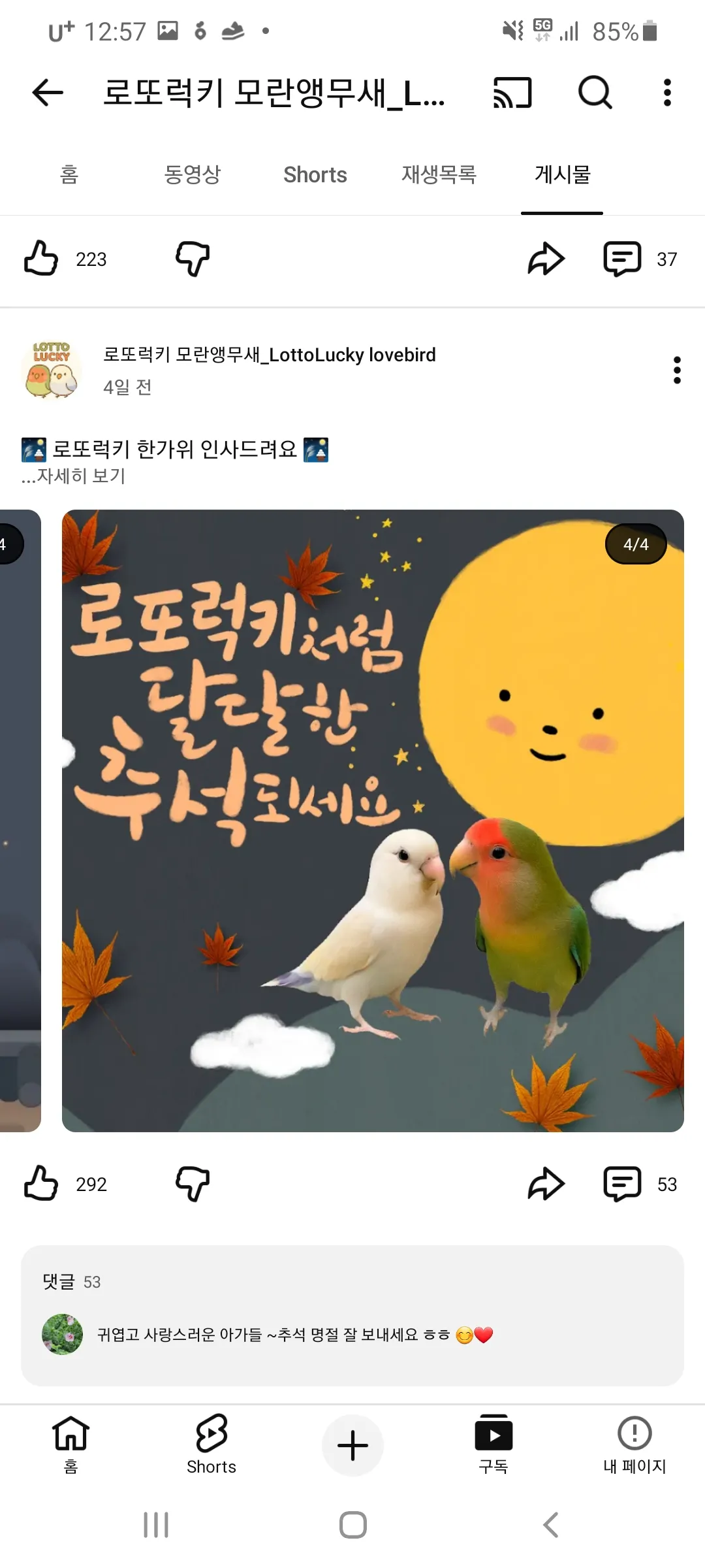 언니들모해 자니이4
