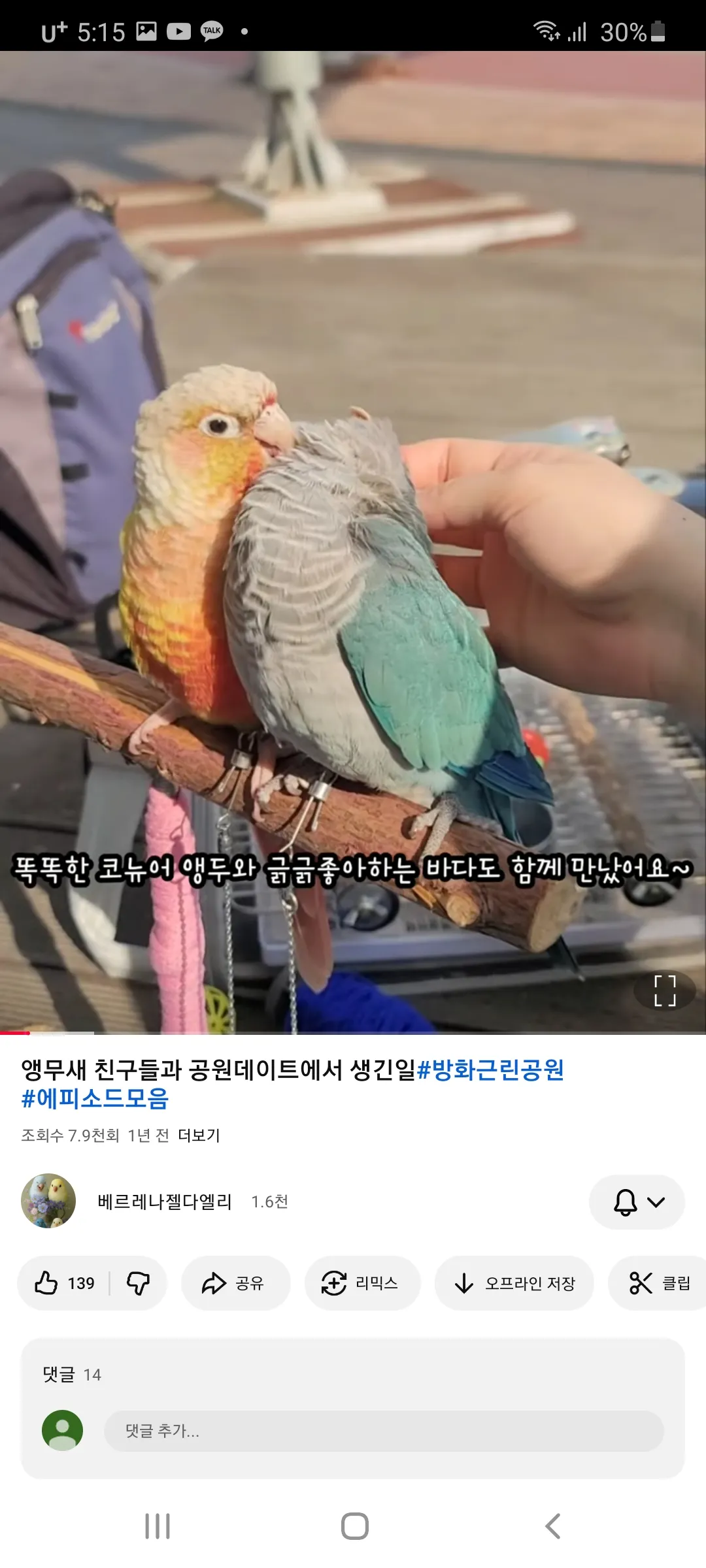 무서운거 조아하는 웅니들있어? 댓글 2