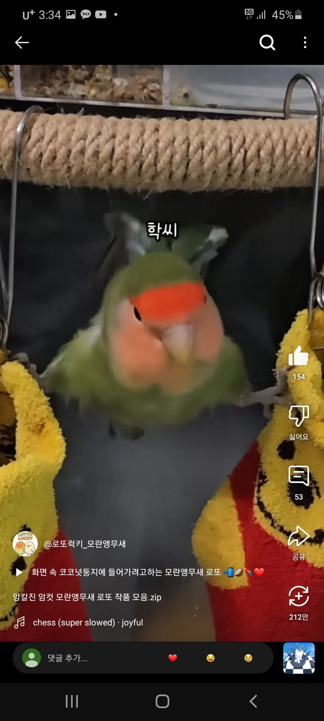 이드라마 본 언니있어 댓글