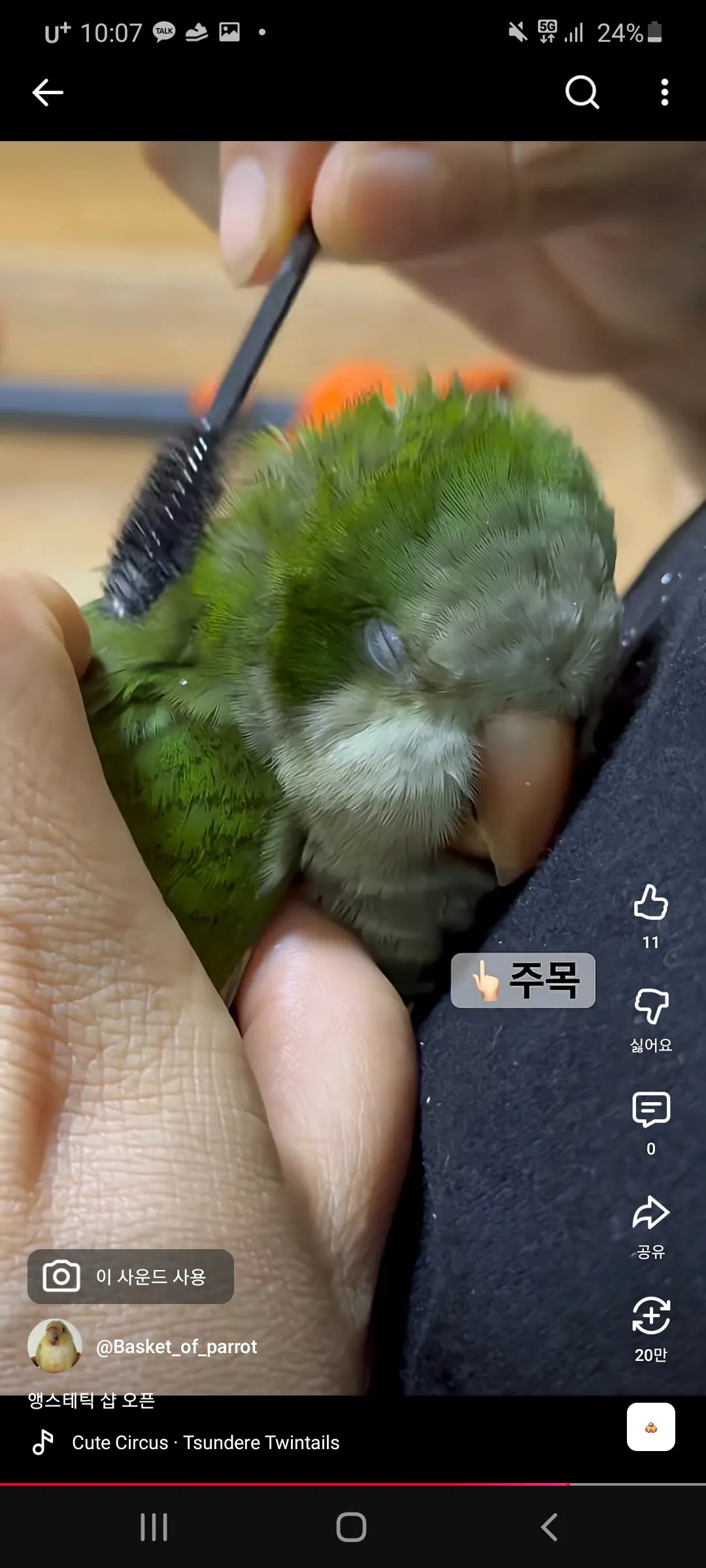 옆집에서 댓글