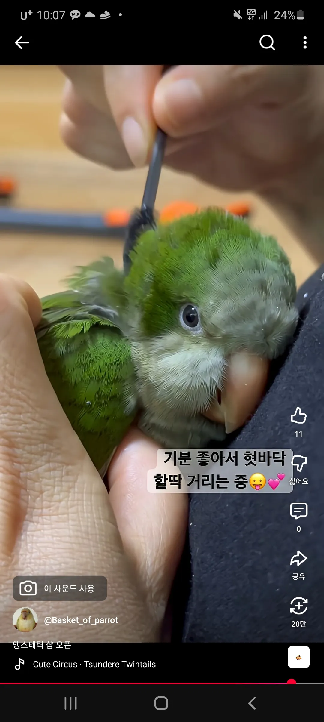 옆집에서 댓글 2
