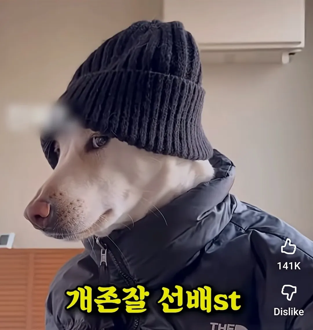 ㅅㅂ ㅋㅋㅋㅋㅋ