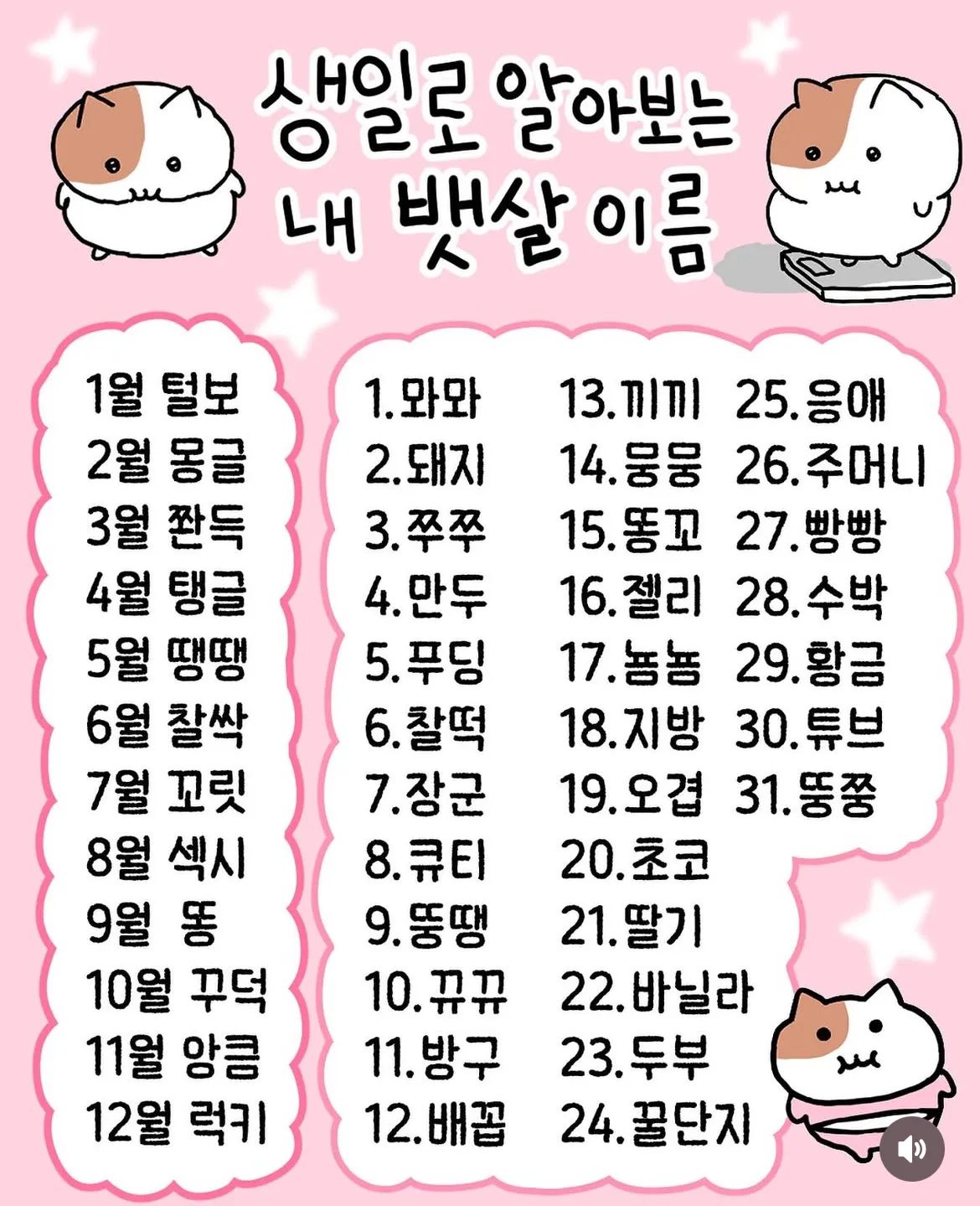  생일로 알아보는 내 뱃살 이름