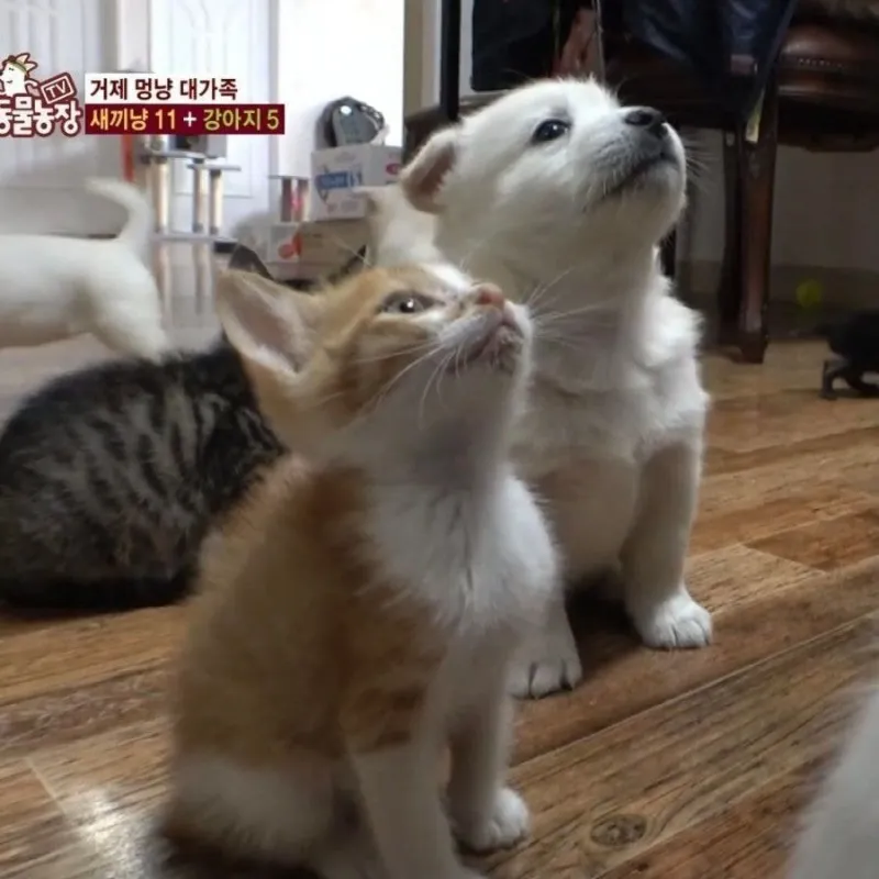 귀여운 투샷