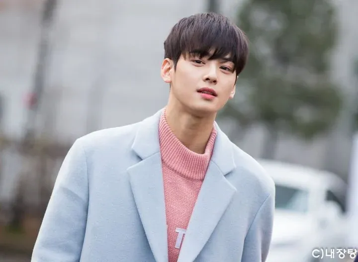 차은우 무보정 사진2