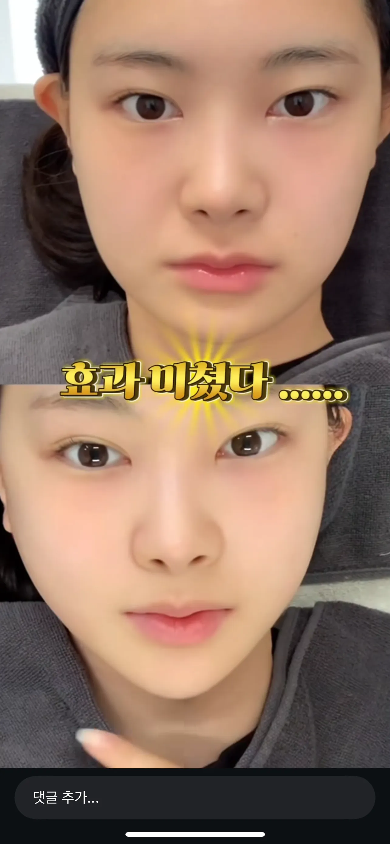 얘네 뭐한거에여?