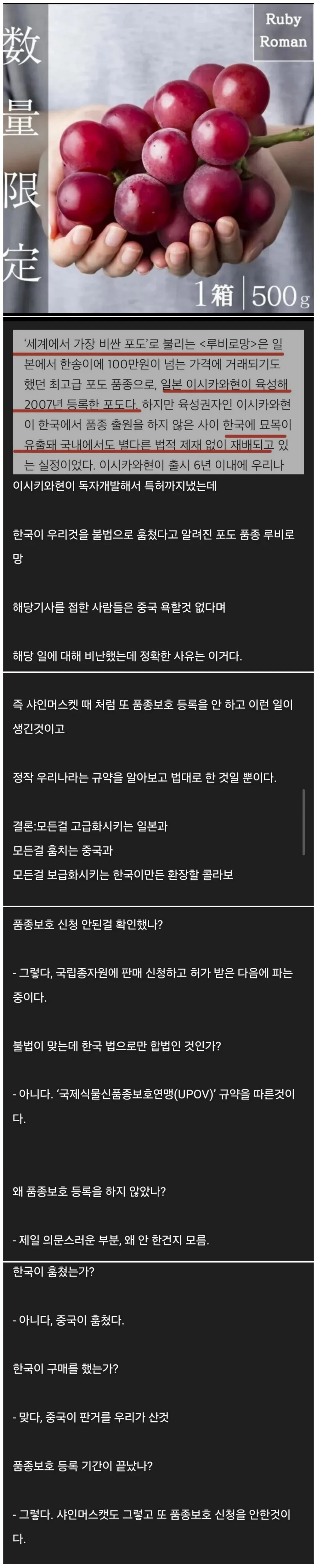 루비로망 이라는데